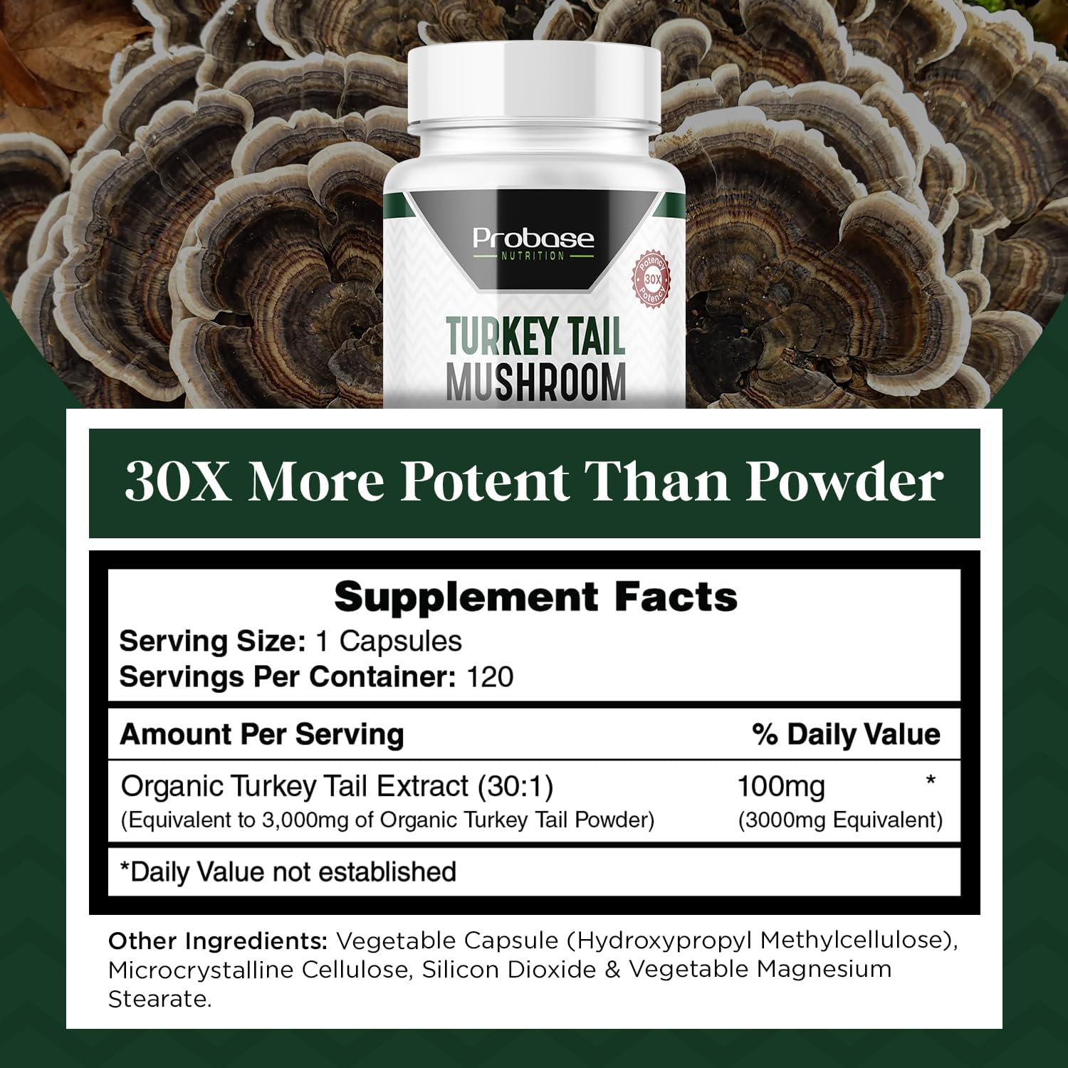 Premium Turkey Tail Mushroom Capsules - 4 Month Supply - 120 Capsules - Real Coriolus Versicolor Extract - Probase Nutrition