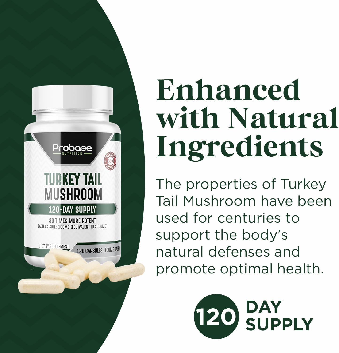 Premium Turkey Tail Mushroom Capsules - 4 Month Supply - 120 Capsules - Real Coriolus Versicolor Extract - Probase Nutrition