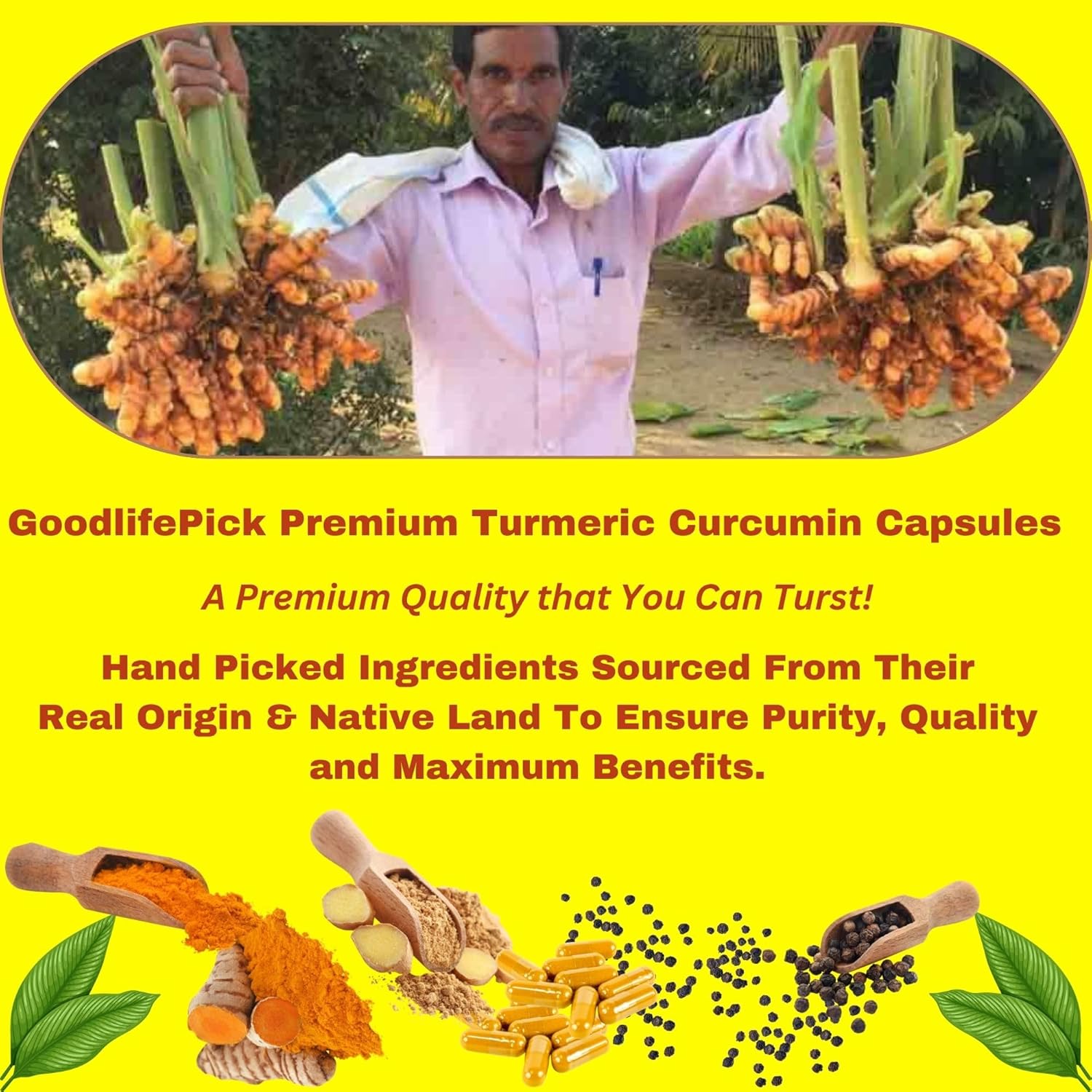Premium Turmeric Capsules with Ginger and Black Pepper - 95% Curcuminoids - Non-GMO - 90ct Bottle