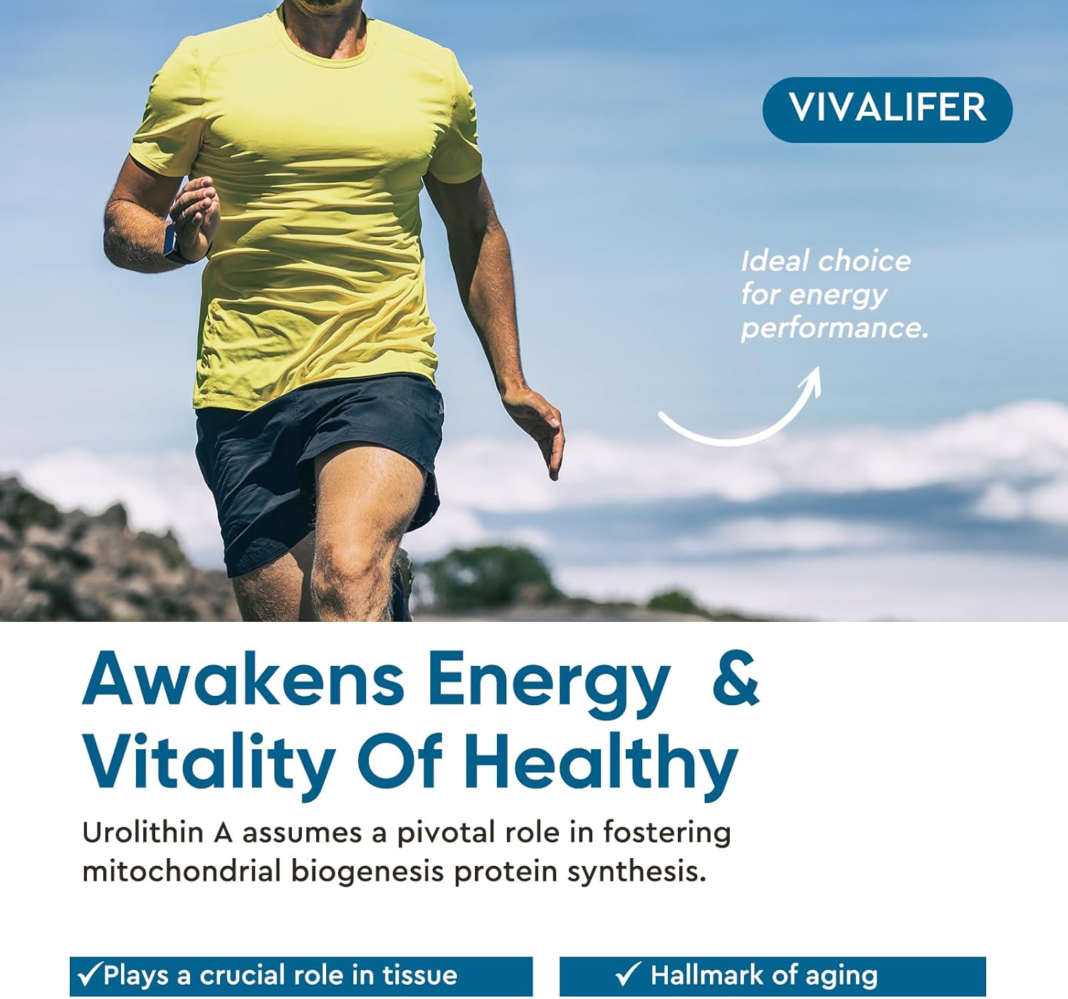 Premium Urolithin A Supplement 2000mg - 360 Capsules for Healthy Aging, Antioxidant Protection, and Cell Repair Support - Men & Women