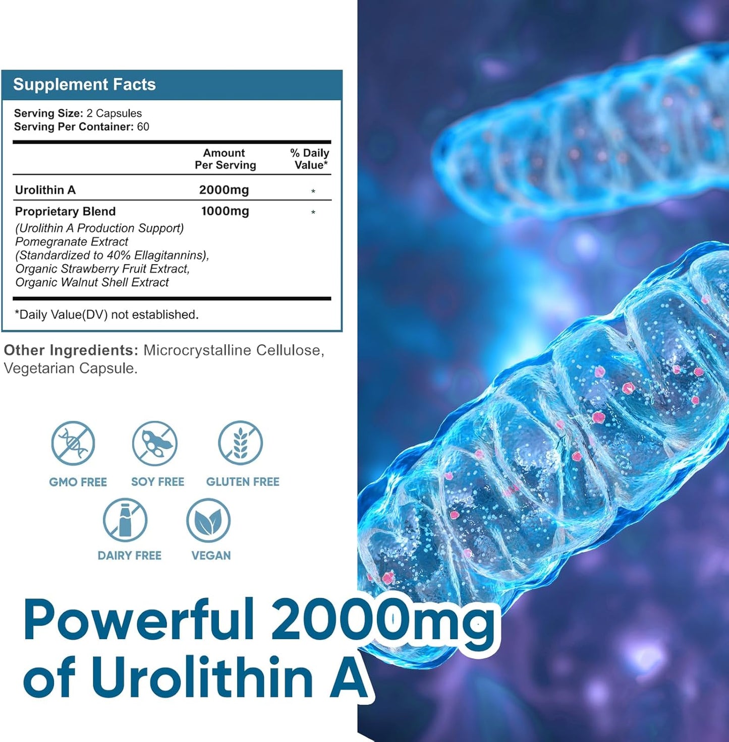 Premium Urolithin A Supplement 2000mg - 360 Capsules for Healthy Aging, Antioxidant Protection, and Cell Repair Support - Men & Women