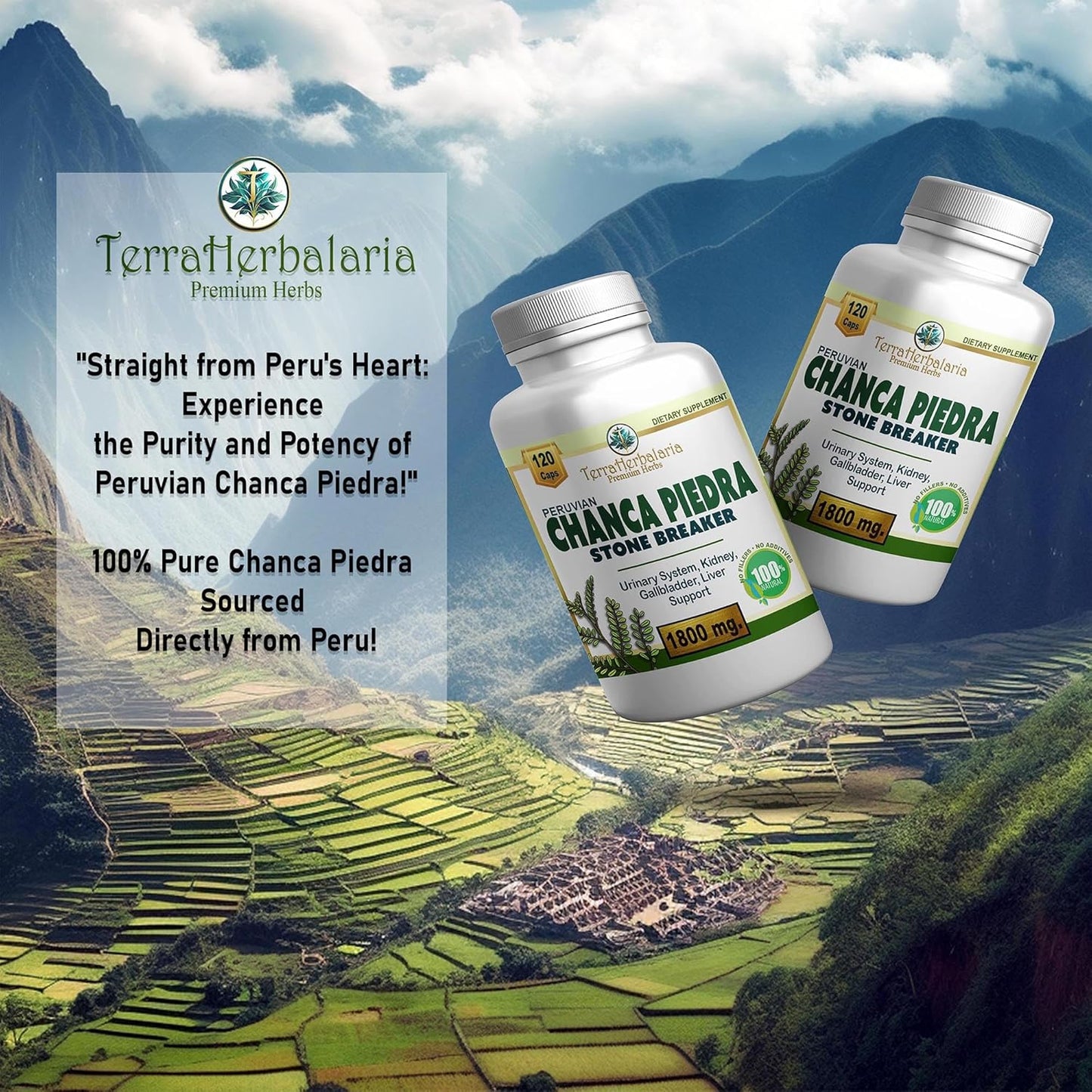 Premium USA-Made Chanca Piedra Stone Breaker Capsules - 1800mg Stone Dissolver Crusher for Kidney & Gallbladder Support - Liver Flush & Support - 120 Vegetarian Soft Capsules