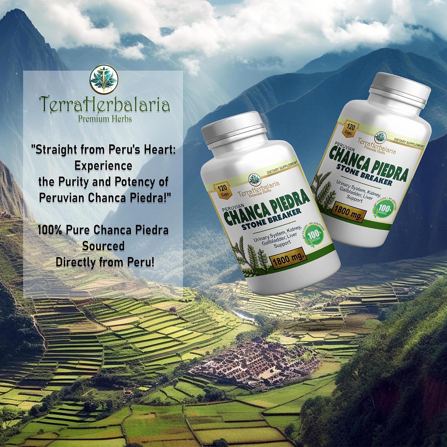 Premium USA-Made Chanca Piedra Stone Breaker Capsules - 1800mg Stone Dissolver Crusher for Kidney & Gallbladder Support - Liver Flush & Support - 120 Vegetarian Soft Capsules