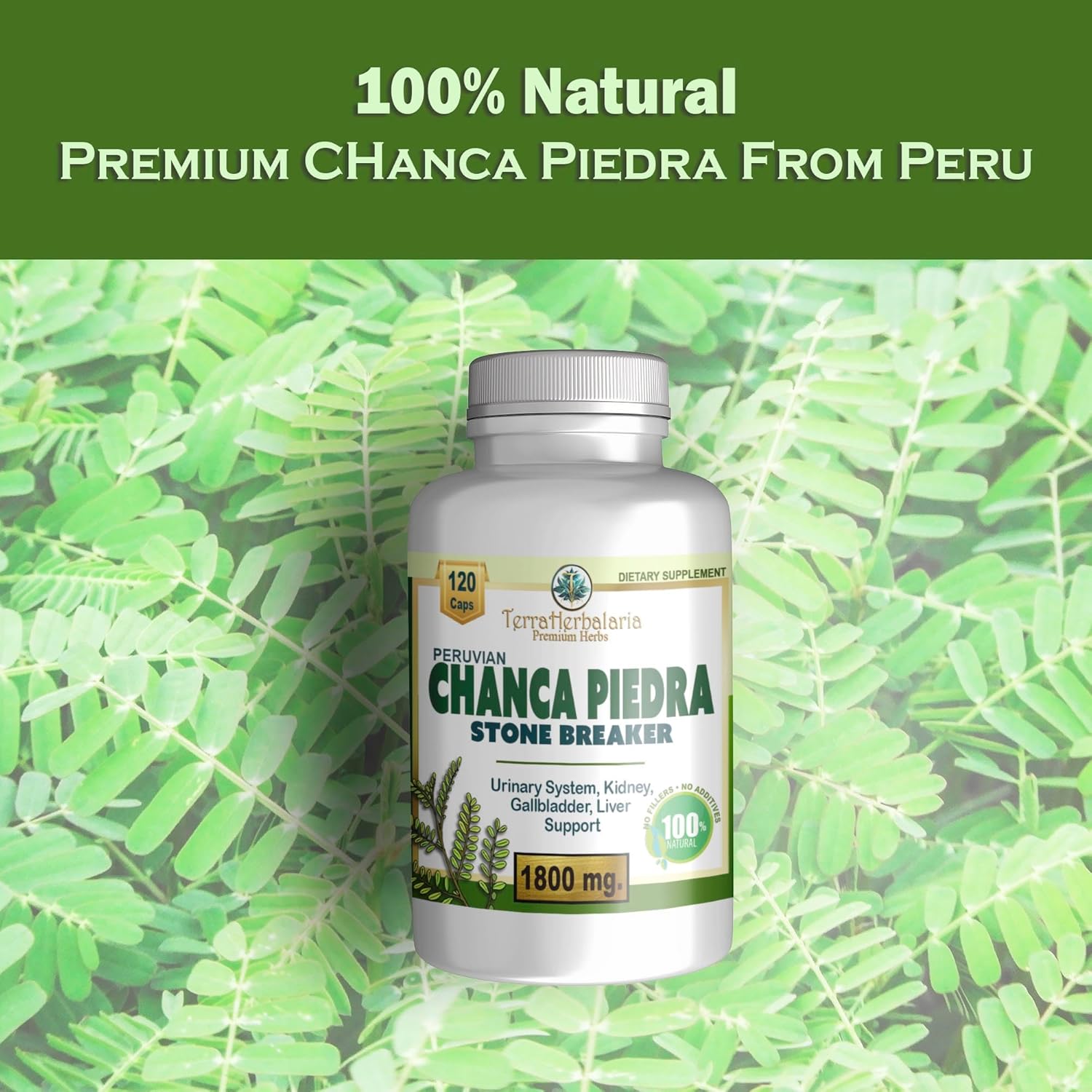 Premium USA-Made Chanca Piedra Stone Breaker Capsules - 1800mg Stone Dissolver Crusher for Kidney & Gallbladder Support - Liver Flush & Support - 120 Vegetarian Soft Capsules