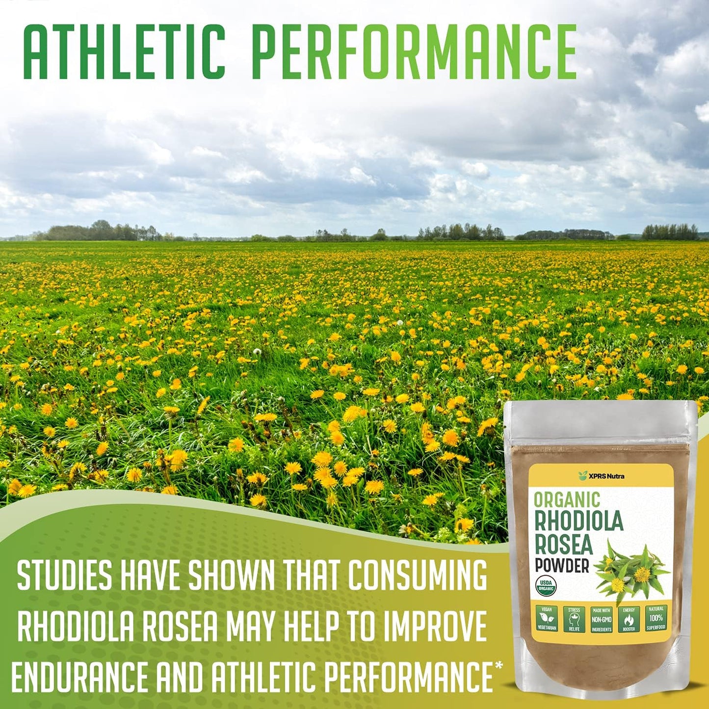 Premium USDA Organic Rhodiola Rosea Powder for Cognition and Relaxation - Vegan-Friendly Energy Booster - 1 oz by XPRS Nutra