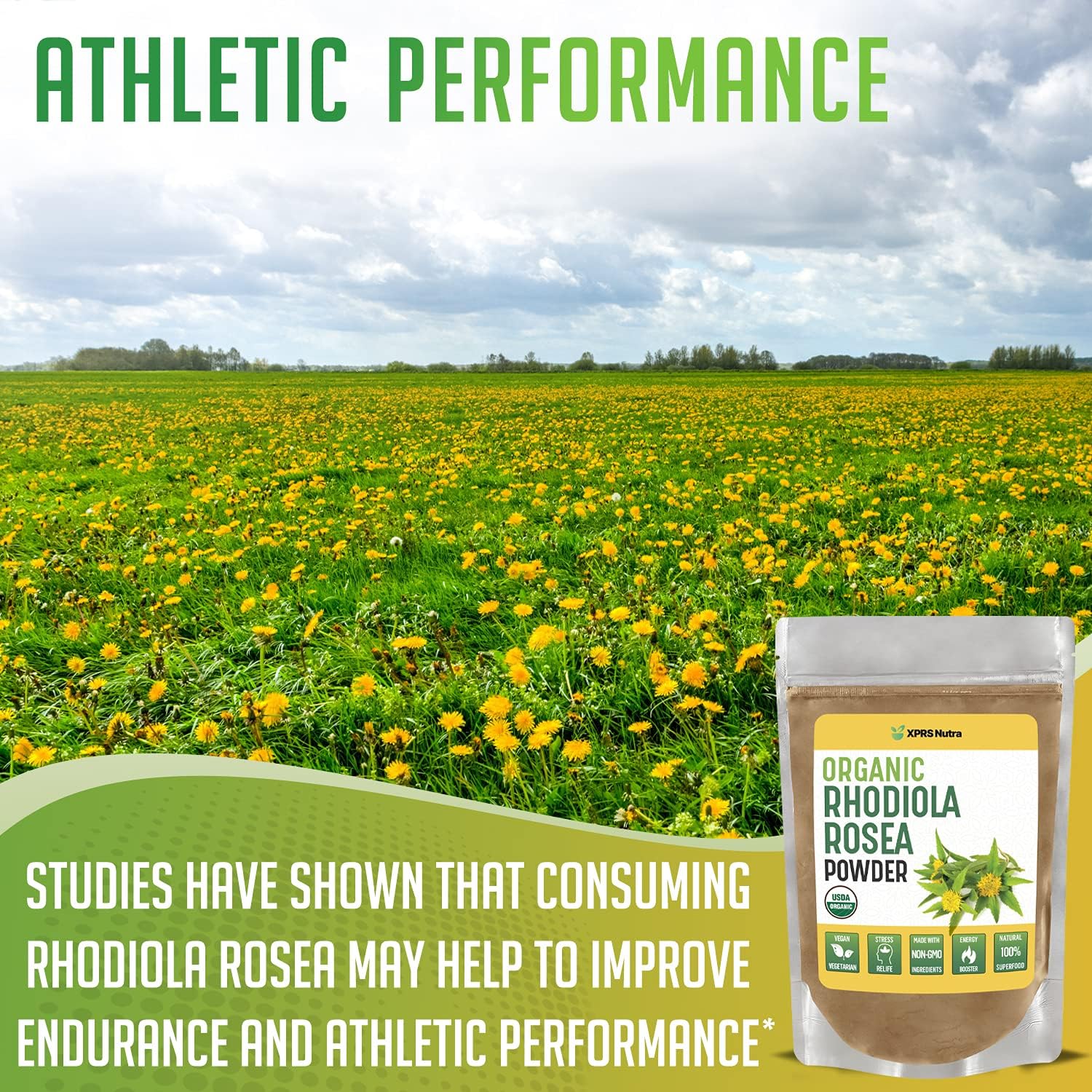Premium USDA Organic Rhodiola Rosea Powder for Cognitive Support and Relaxation - Vegan Energy Boost (4 oz) by XPRS Nutra