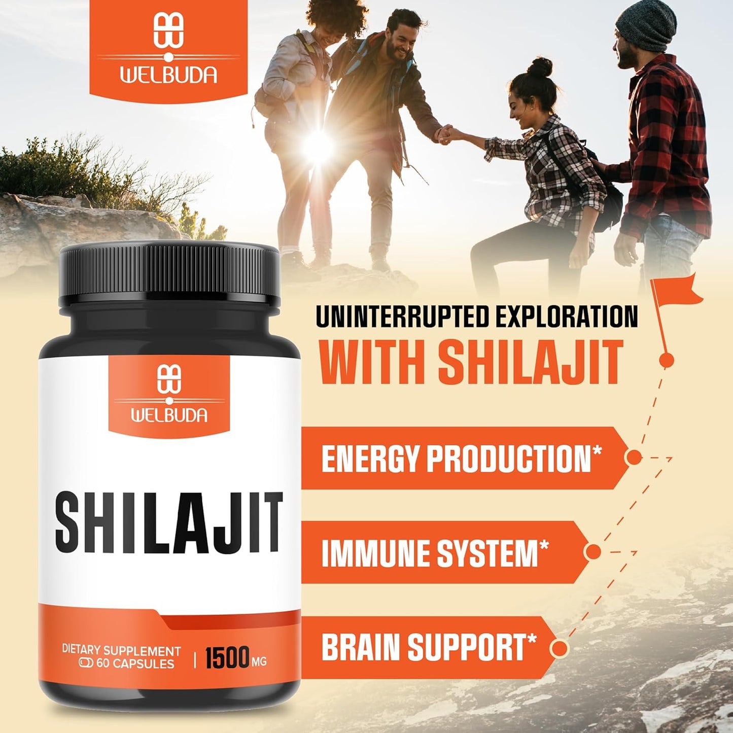 Premium WELBUDA Shilajit Supplement 1500mg - Boosts Immune System, Energy, Brain Health - 60 Capsules