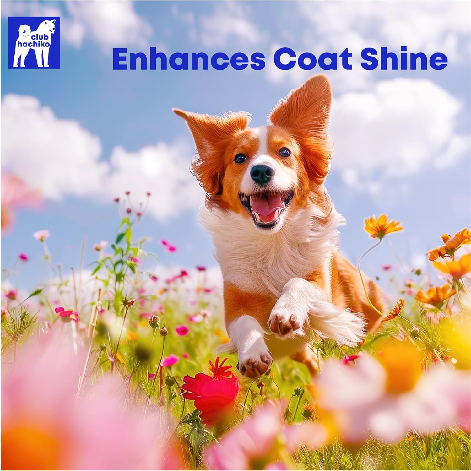 Premium Wild Alaskan Omega-3 Fish Oil for Dogs - Joint Mobility, Healthy Skin & Coat - Natural EPA DHA Fatty Acids from Wild Fish