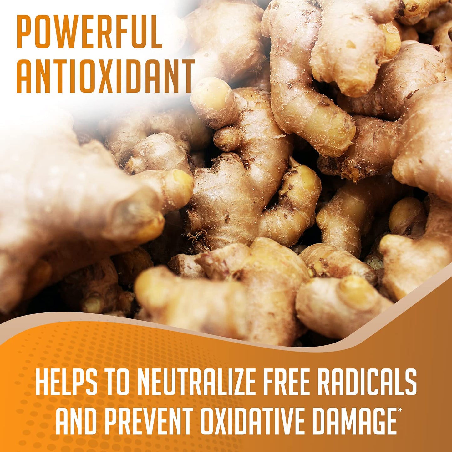 Premium XPRS Nutra Ground Ginger Powder - 16 Ounce Vegan Friendly Sustainably Grown Spice with Potent Flavor