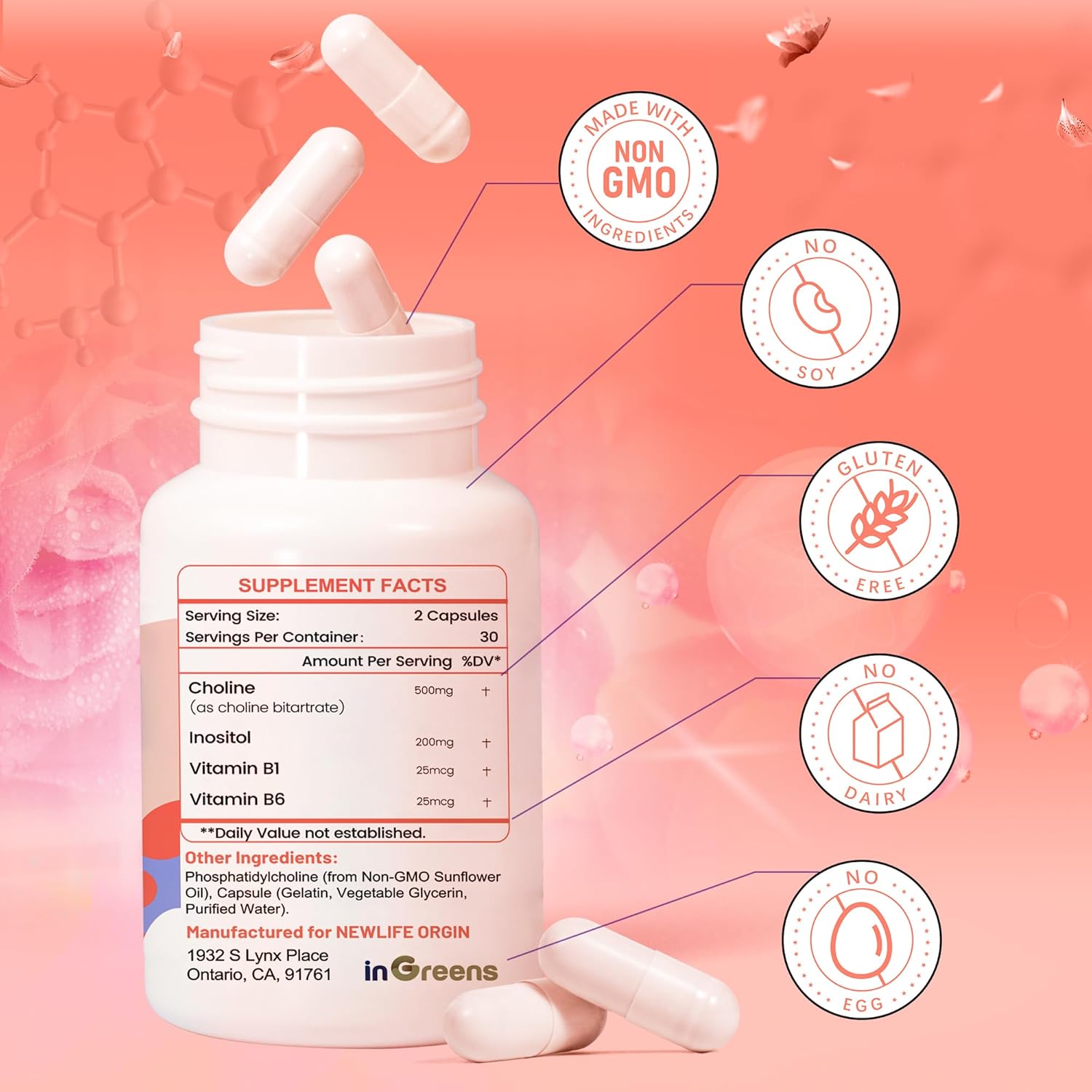 Prenatal Choline Supplement with Inositol, B1, B6, 500mg - Promotes Brain Development in Utero/Early Life, Boost Choline in Breast Milk - 30 Day Supply