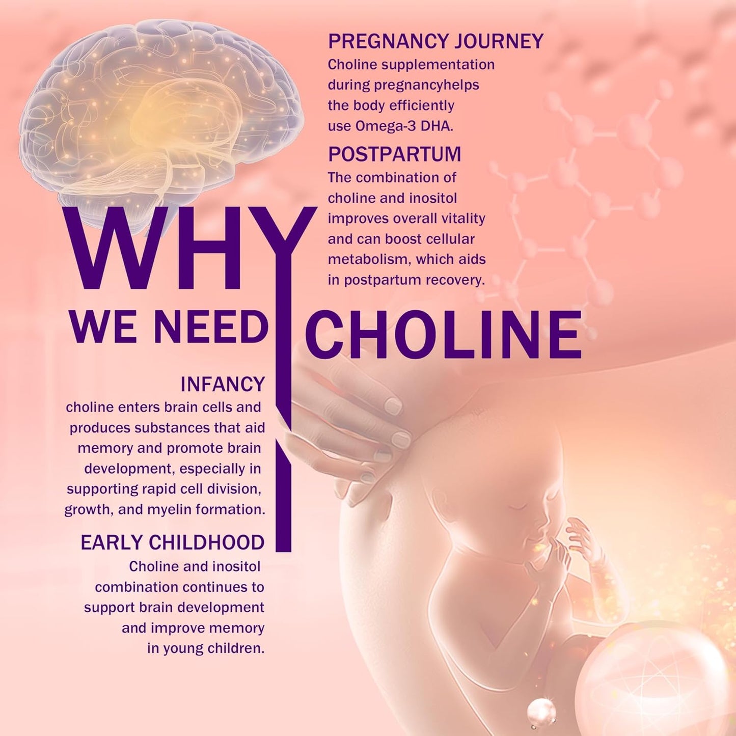 Prenatal Choline Supplement with Inositol, B1, B6, 500mg - Promotes Brain Development in Utero/Early Life, Boost Choline in Breast Milk - 30 Day Supply