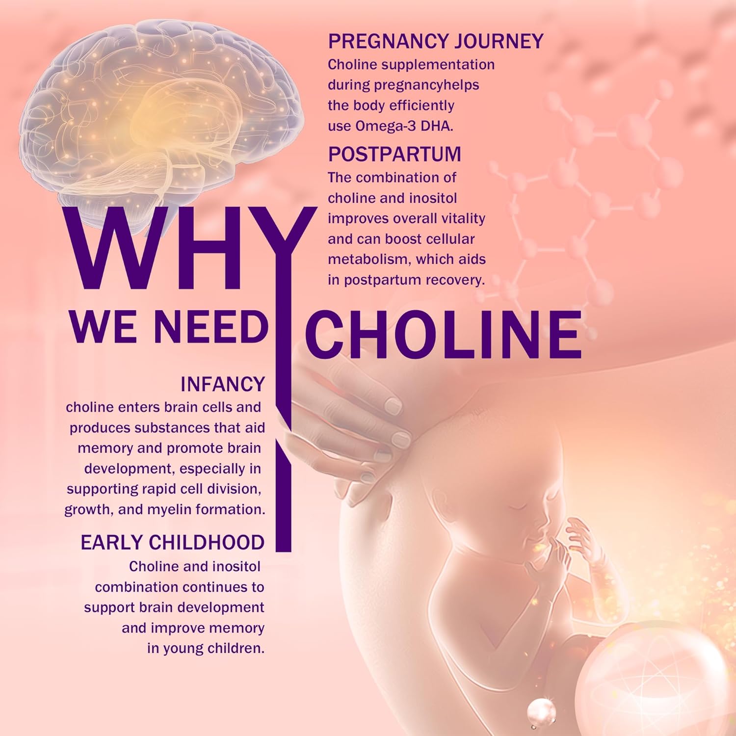 Prenatal Choline Supplement with Inositol, B1, B6, 500mg - Promotes Brain Development in Utero/Early Life, Boost Choline in Breast Milk - 30 Day Supply