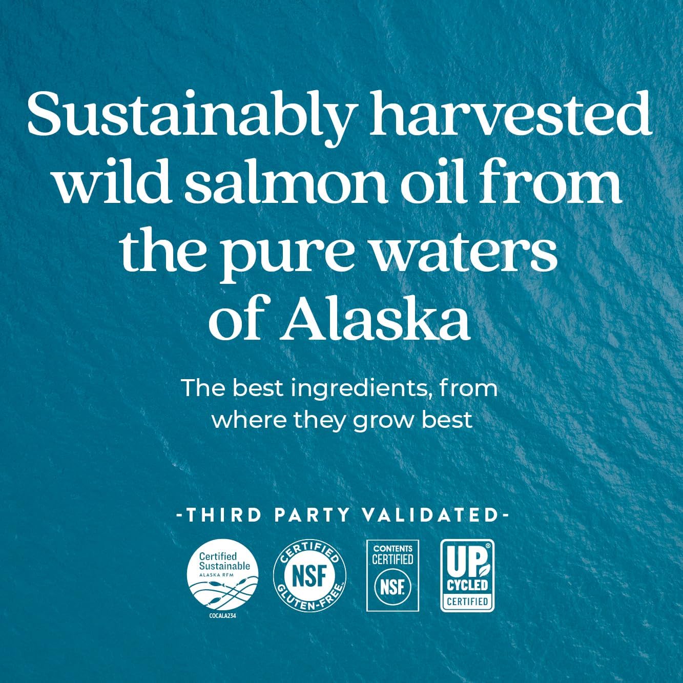 Prenatal & Postnatal Support Fish Oil Supplement with DHA, Omega-3, and Vitamin D3 - 90 Softgels, 500mg by New Chapter Wholemega for Moms - BoostGo Australia