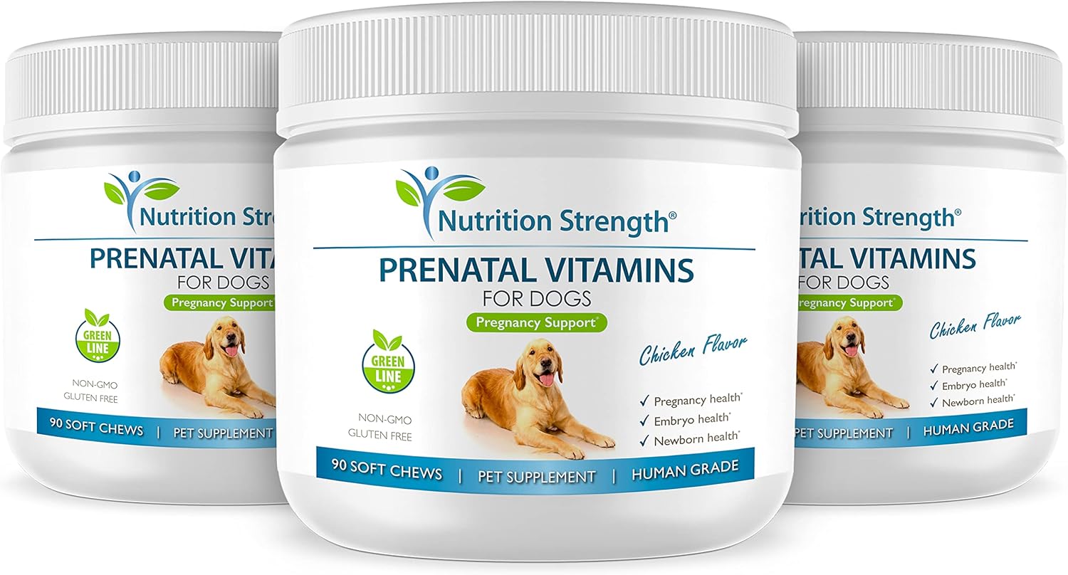 Prenatal Vitamins for Dogs with Folic Acid, Iron, Zinc, Iodine, B Vitamins, 90 Soft Chews for Healthy Puppies and Milk Production