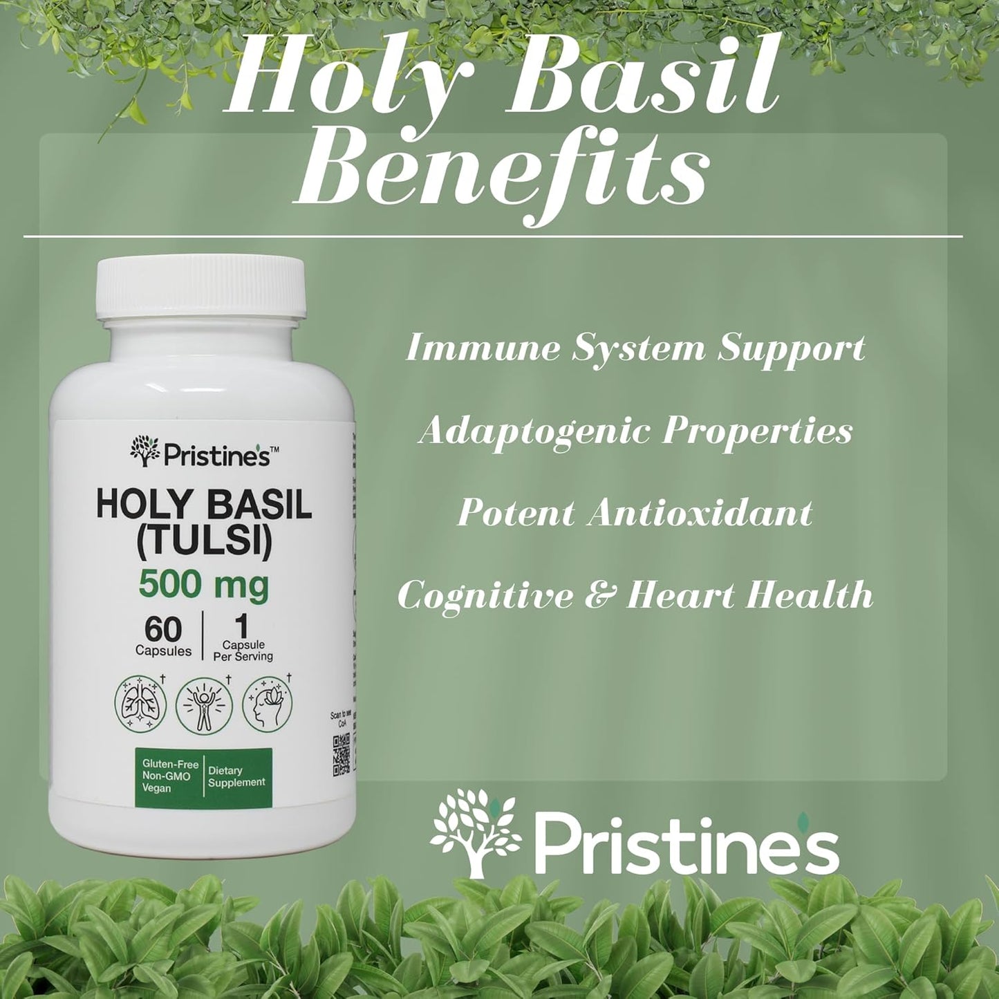 Pristine's Holy Basil Leaf Capsules 500mg - 180 Day Supply (3 Pack) for Relaxation & Immunity - Adaptogen Supplement - Vegan, Non-GMO, Gluten Free