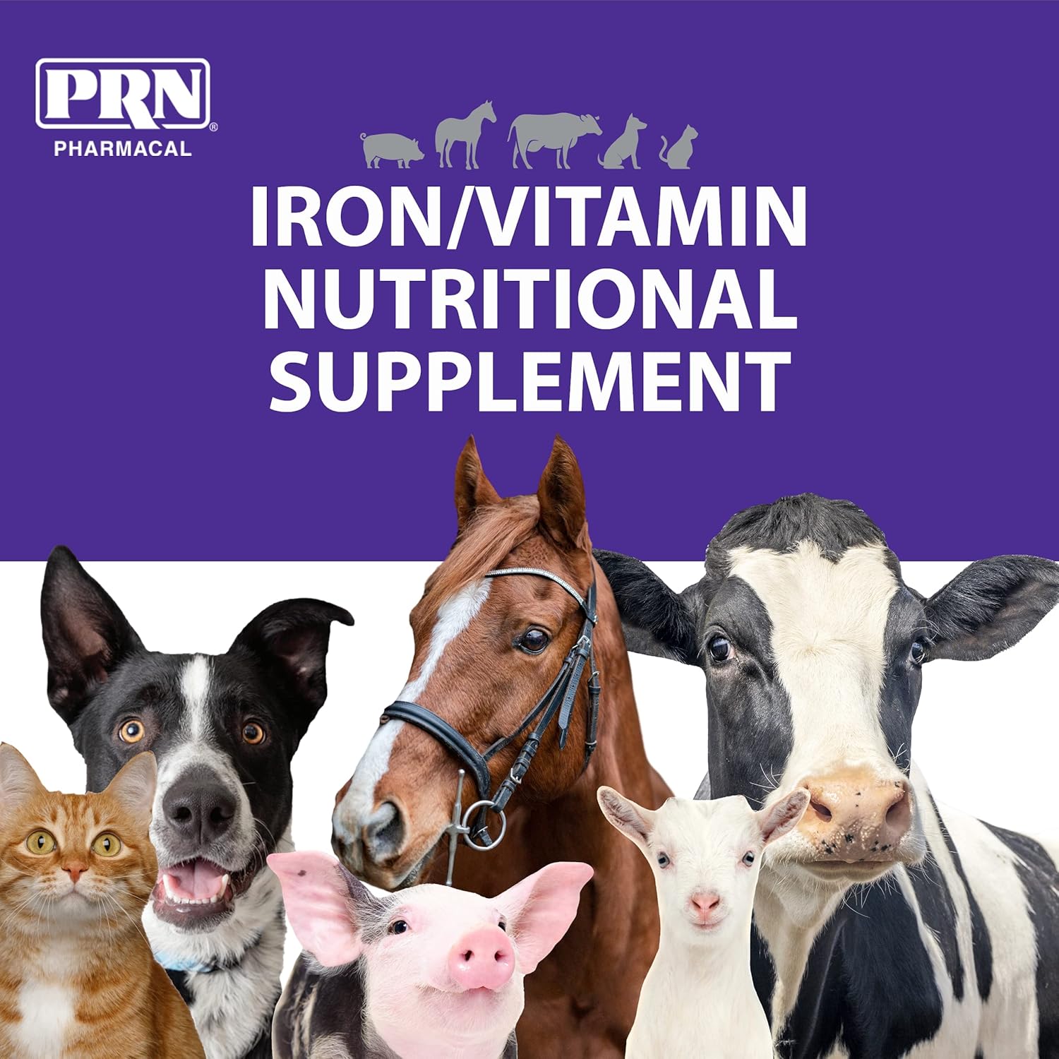 PRN Pharmacal Liqui-Tinic 4X Oral Nutritional Supplement for Pets - Liver-Flavored Iron & Vitamin B-Complex Support - 1 Gallon