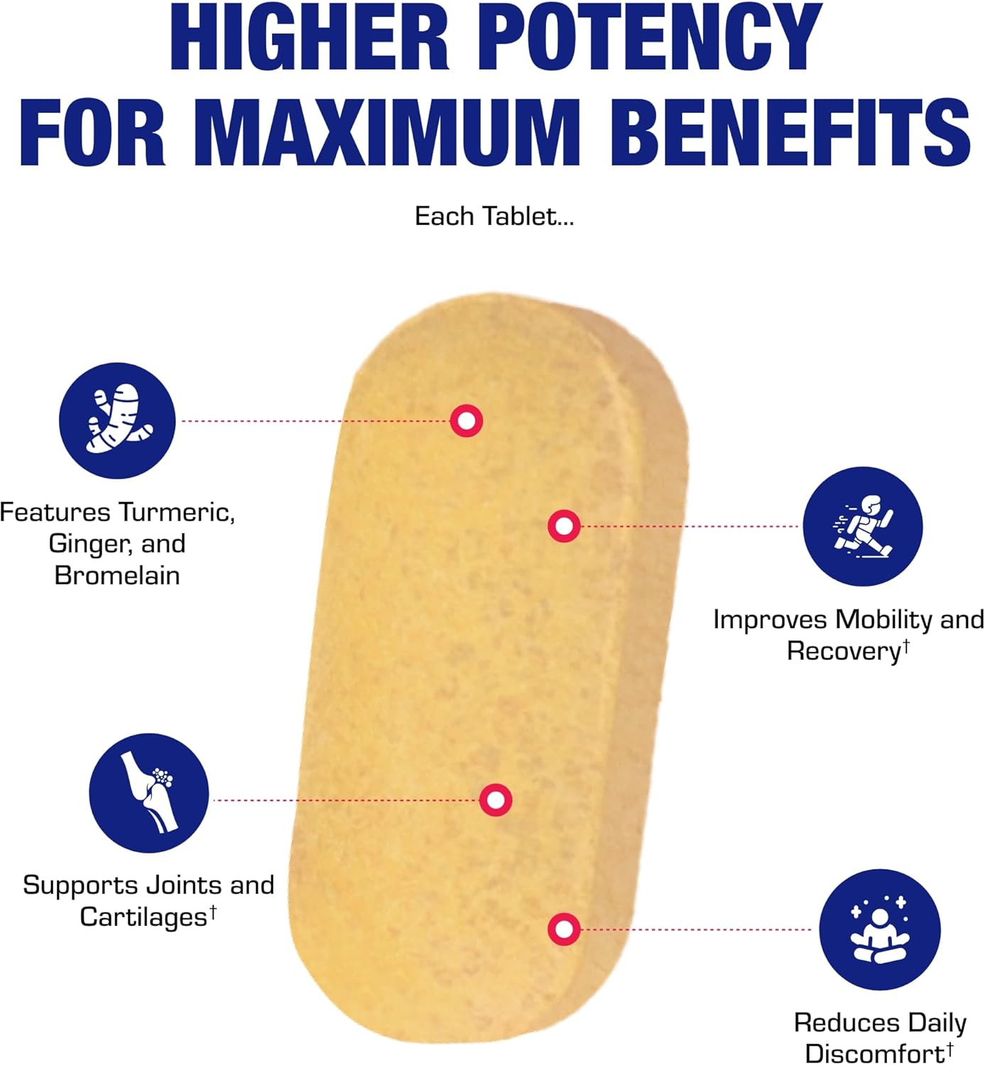 Pro ENZ Joint Support Supplement with Turmeric & Boswellia for Joint Mobility & Comfort - Clinical Formula with Proteolytic Enzymes - 60 Servings