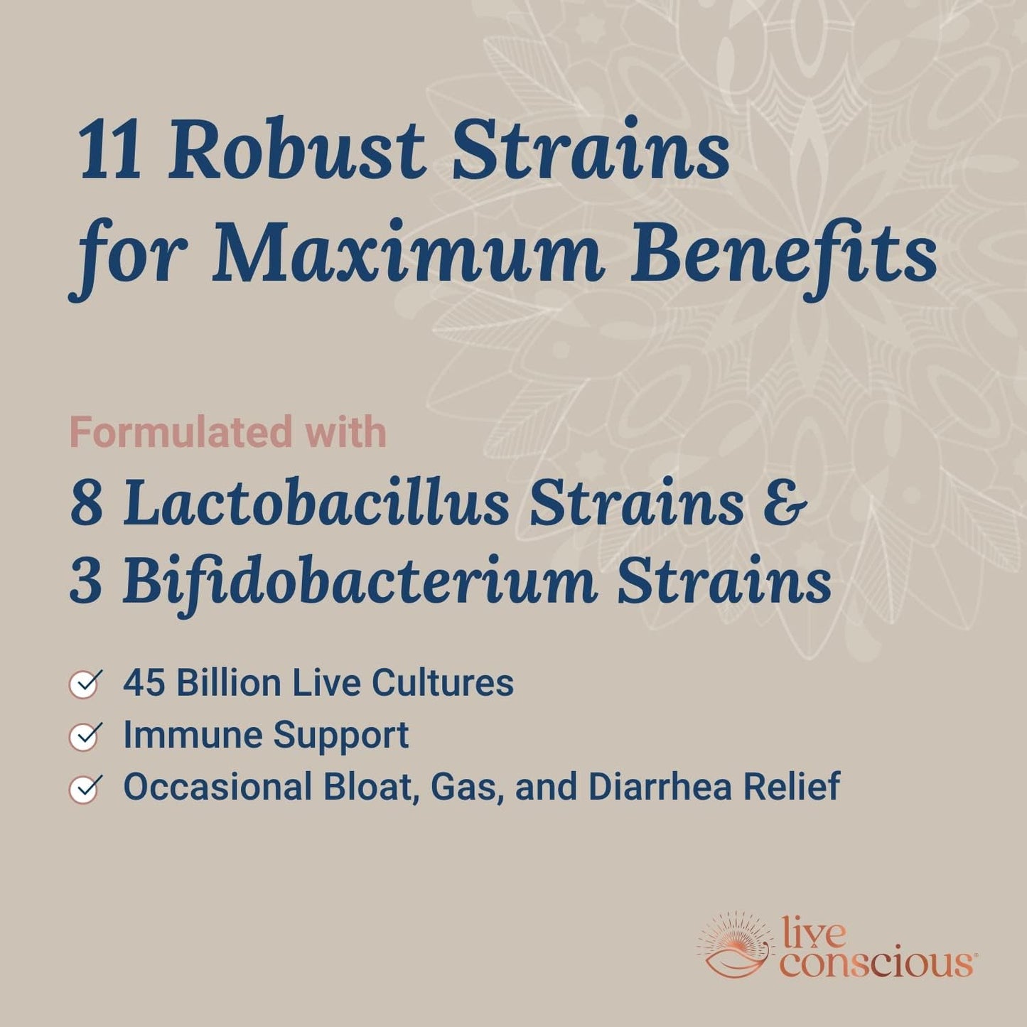 PRO45 Probiotic Formula - 45 Billion CFU, 11 Strains, Dairy Free, Delayed Release Capsules - Immune & Digestive Health Support - 60 Capsules (2-Pack)