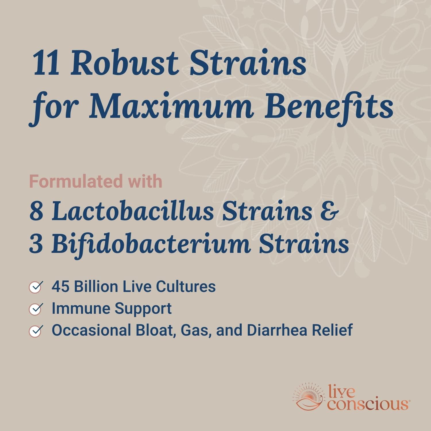 PRO45 Probiotic Formula - 45 Billion CFU, 11 Strains, Dairy Free, Delayed Release Capsules - Immune & Digestive Health Support - 60 Capsules (2-Pack)