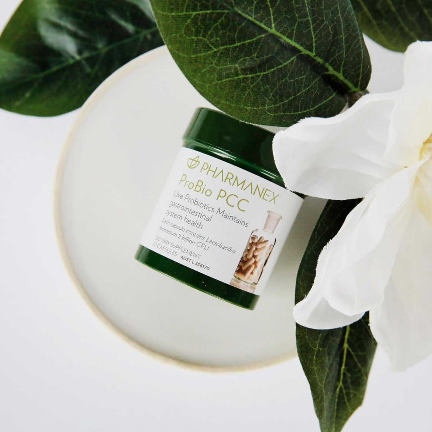 ProBio PCC Probiotic Supplement for Gut Health & Immune Support - 2 Billion CFU Capsules