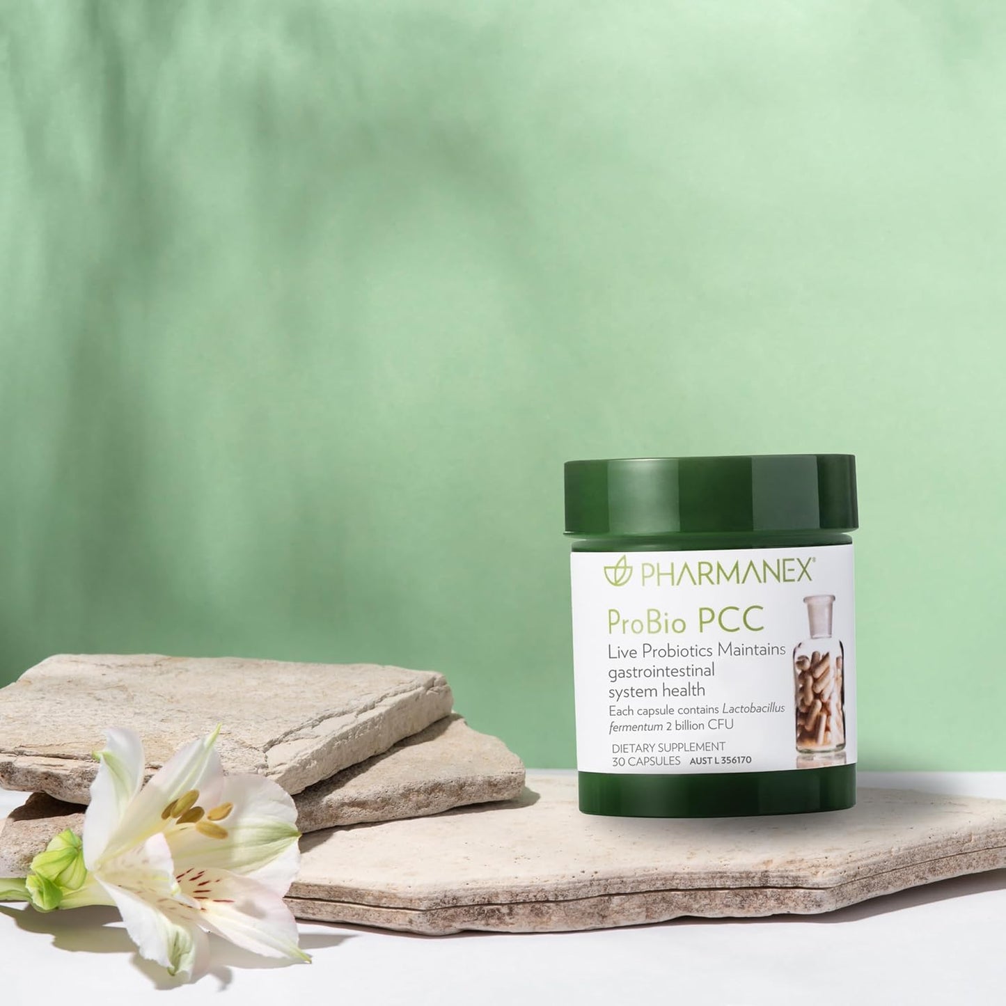 ProBio PCC Probiotic Supplement for Gut Health & Immune Support - 2 Billion CFU Capsules