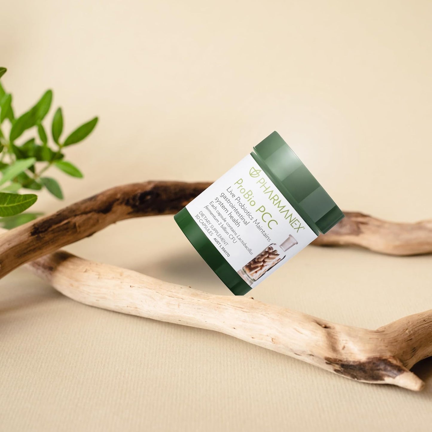 ProBio PCC Probiotic Supplement for Gut Health & Immune Support - 2 Billion CFU Capsules