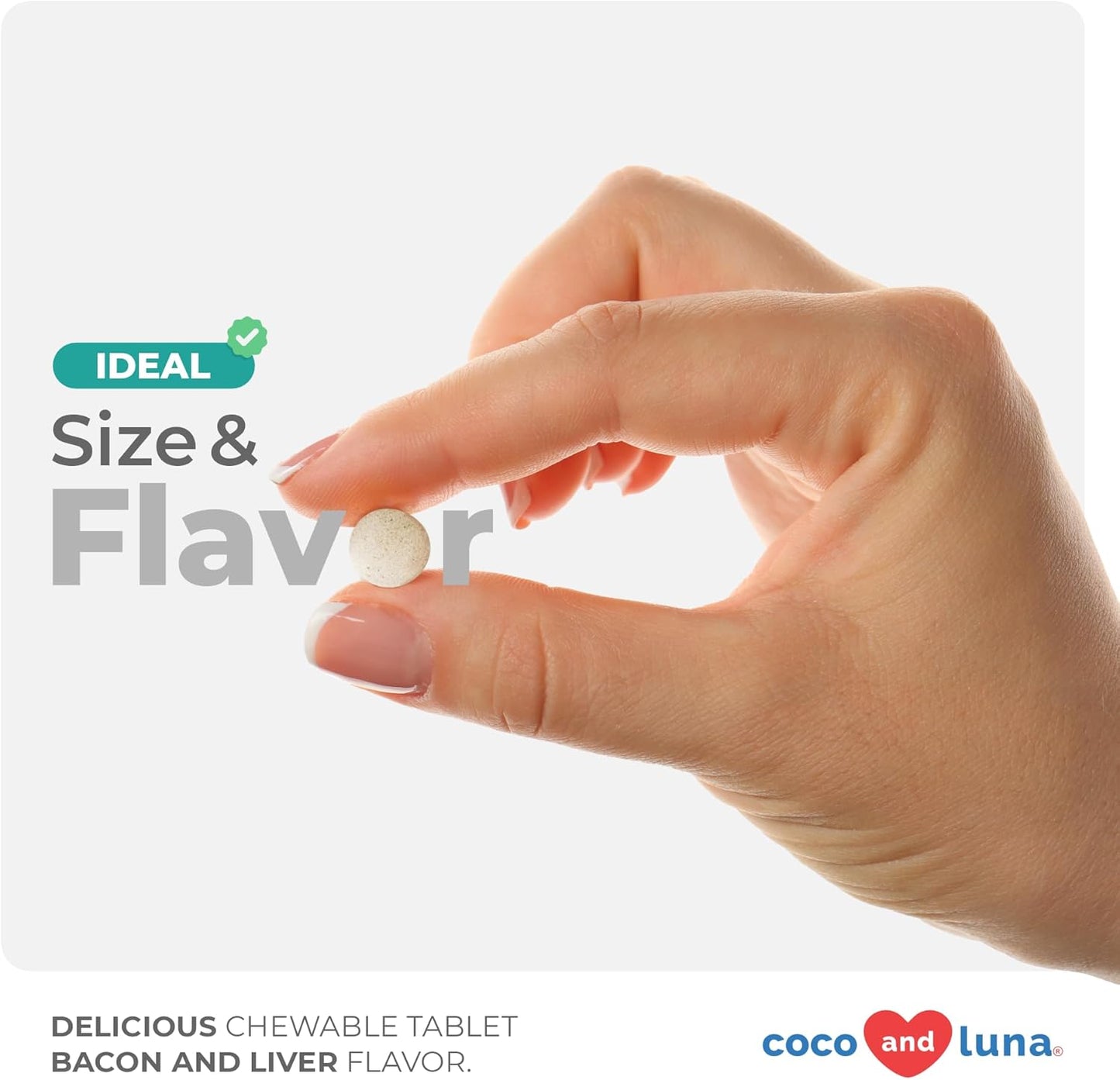 Probiotic Chewable Tablets for Dogs with Honey Pumpkin - Supports Digestive Health, Allergies, Bad Breath, and Constipation - 120 Count