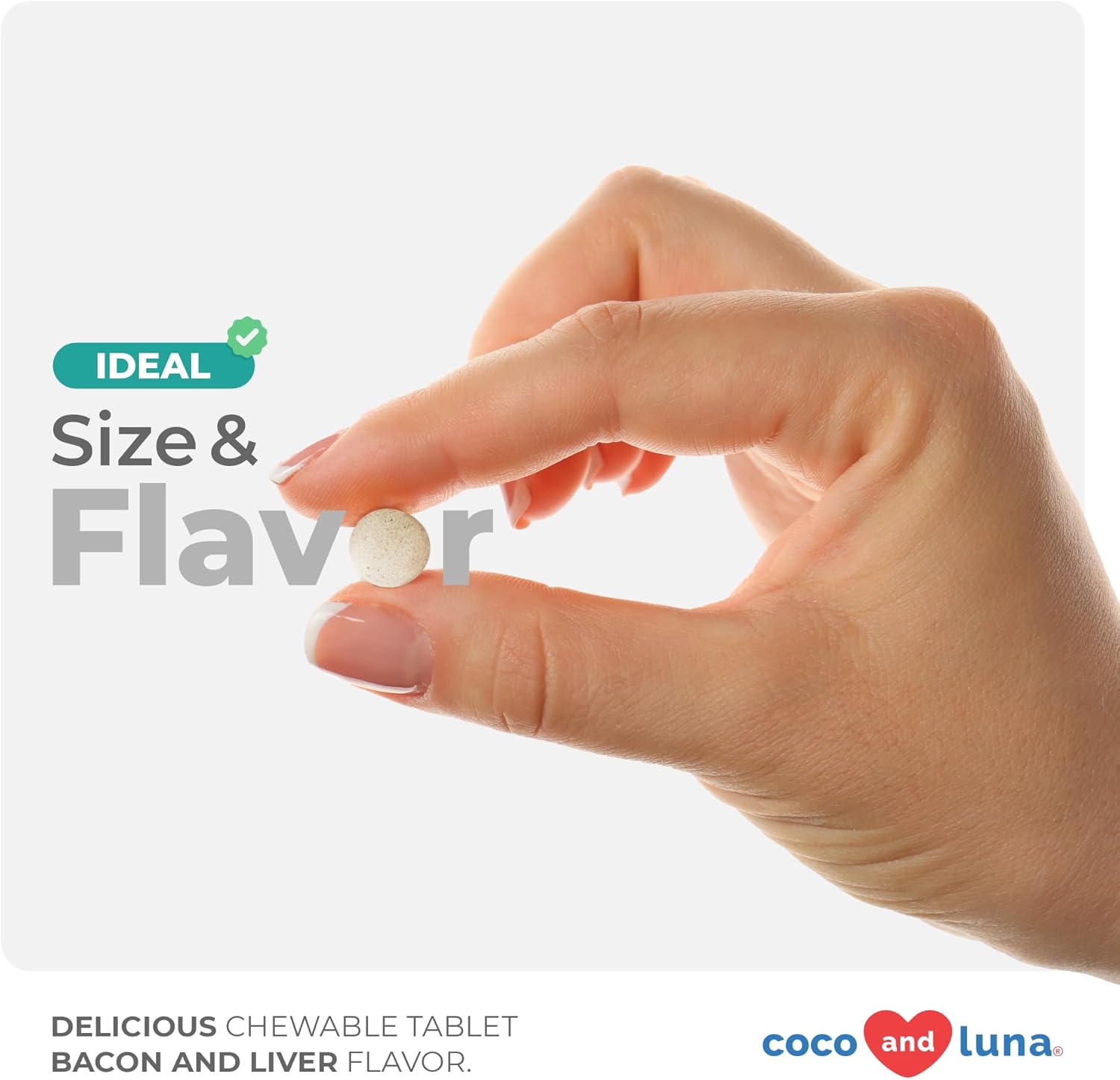 Probiotic Chewable Tablets for Dogs with Honey Pumpkin - Supports Digestive Health, Allergies, Bad Breath, and Constipation - 120 Count