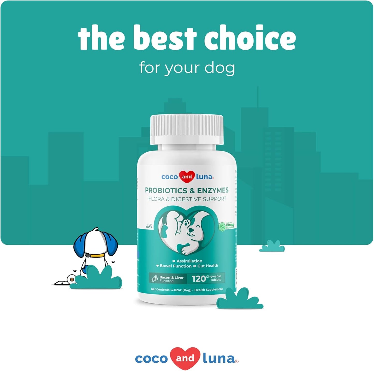 Probiotic Chewable Tablets for Dogs with Honey Pumpkin - Supports Digestive Health, Allergies, Bad Breath, and Constipation - 120 Count