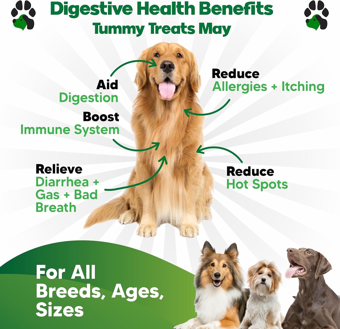 Probiotic Chews for Dogs - Supports Digestive Health & Gut Flora - Prebiotics & Enzymes - 90 Chews