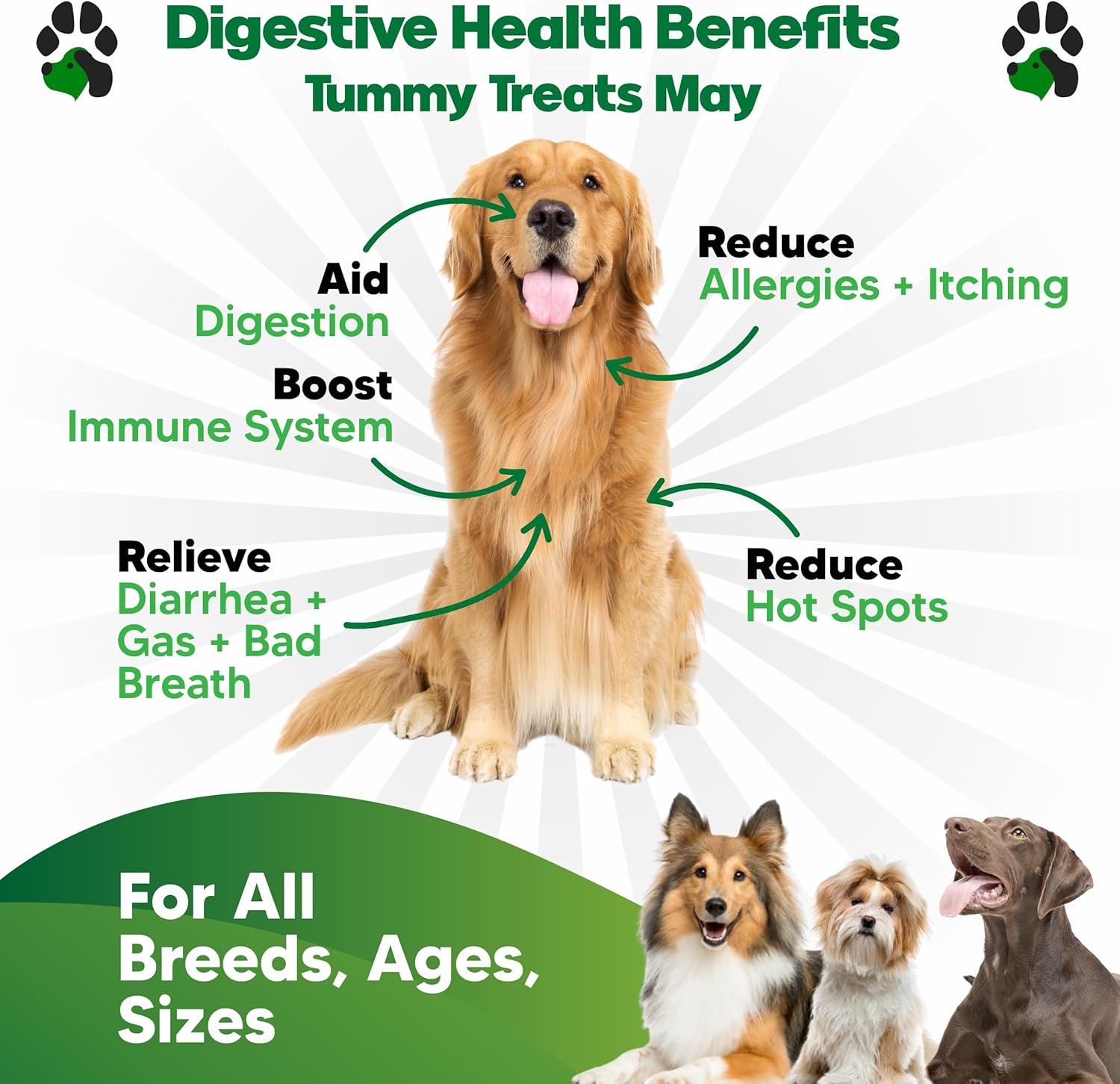 Probiotic Chews for Dogs - Supports Digestive Health & Gut Flora - Prebiotics & Enzymes - 90 Chews