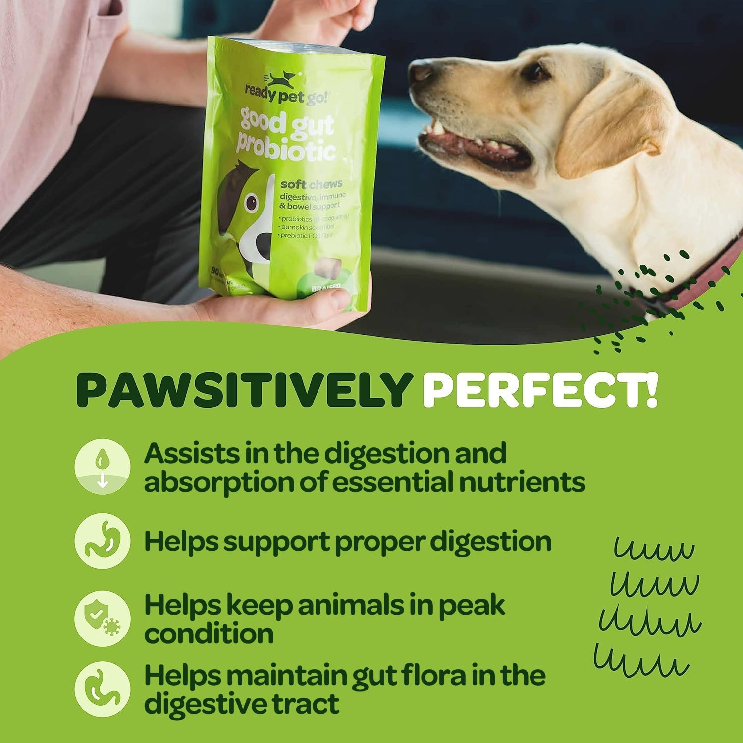 Probiotic Chews for Dogs Gut Health with Pumpkin & Digestive Enzymes | Tasty Prebiotics for Digestion | NASC Certified USA-Made | 90 Chews - BoostGo Australia