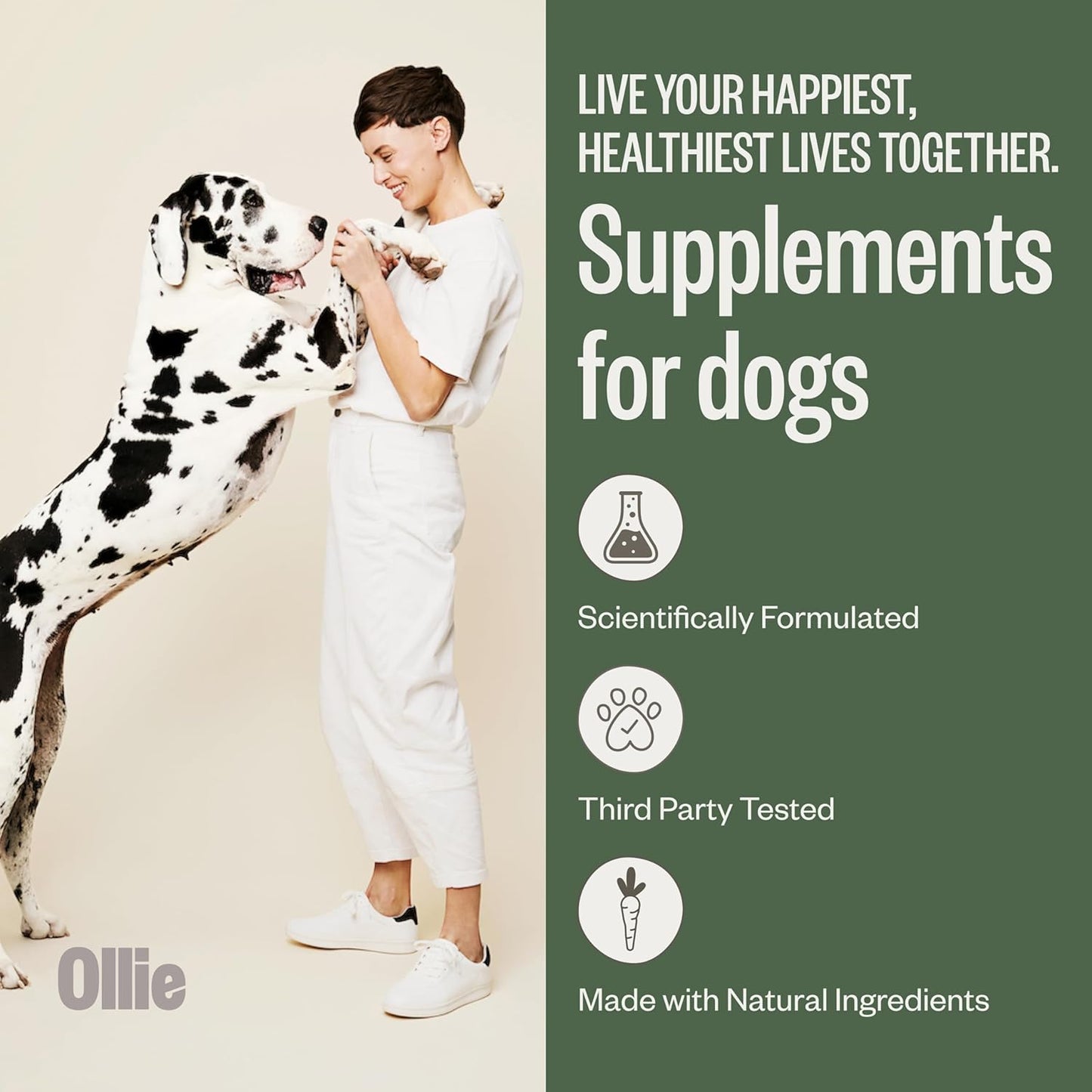 Probiotic Dog Chews for Digestive Health, Natural Ingredients, Upset Stomach Relief, 60 Count