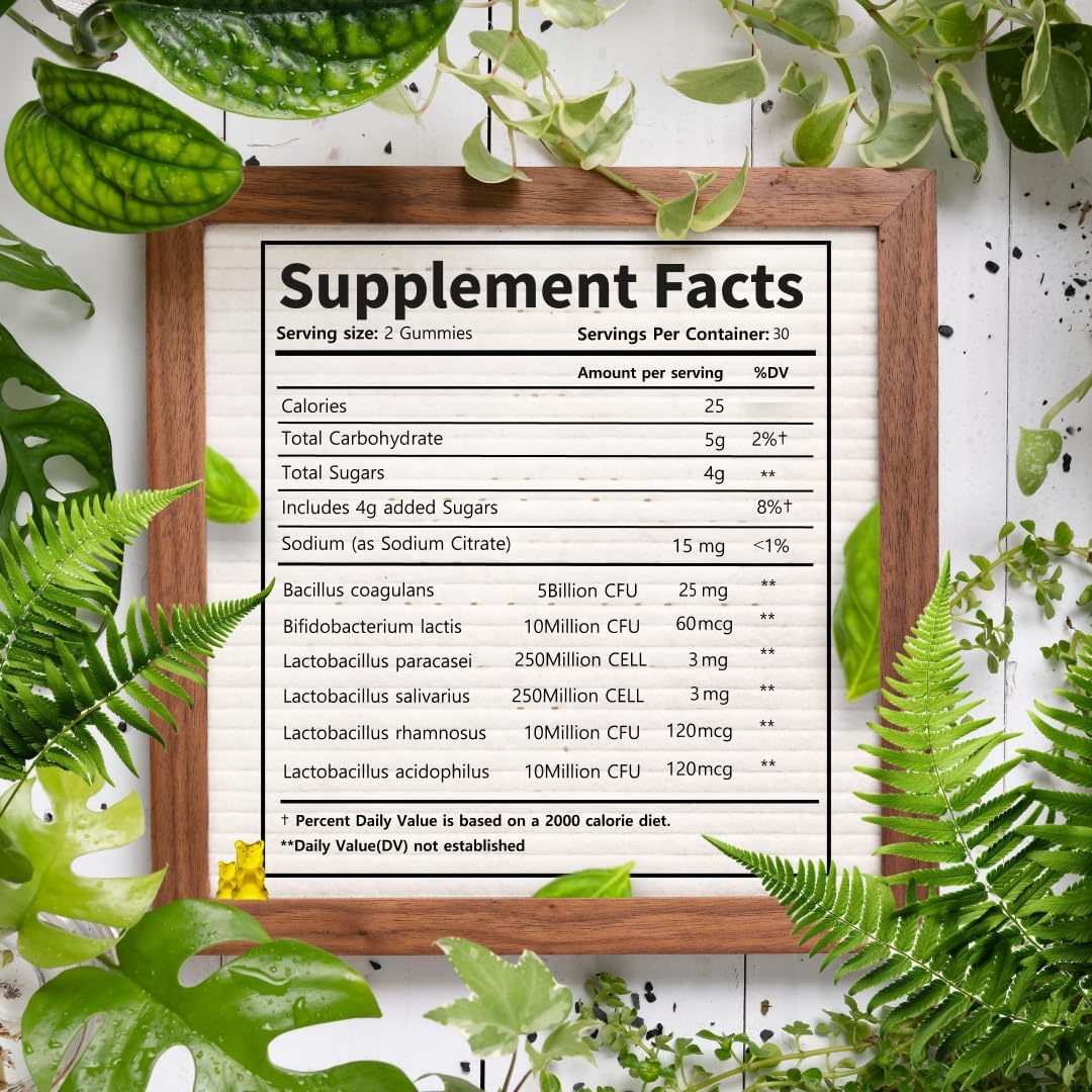 Probiotic Gummies 5 Billion CFU for Digestive Support, Women & Men, Natural Orange Flavor, 30 Day Supply