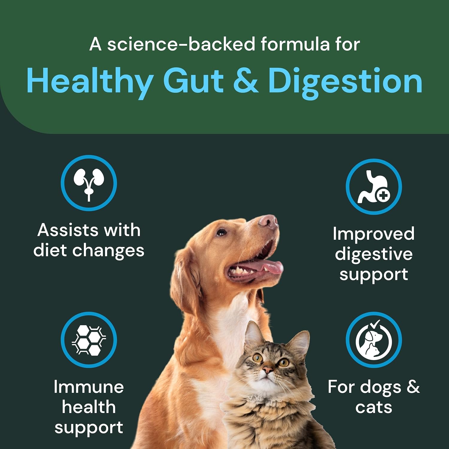 Probiotic Pet Supplement for Cats & Dogs - Supports Gut & Immune Health - Digestive Comfort Chews - 60 Count