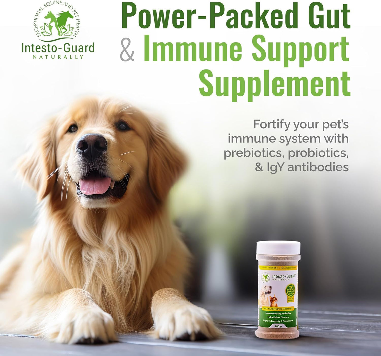 Probiotic Powder for Dogs & Cats: Supports Digestive Health, Immunity, and Gut Flora - 90 Scoops (180G)