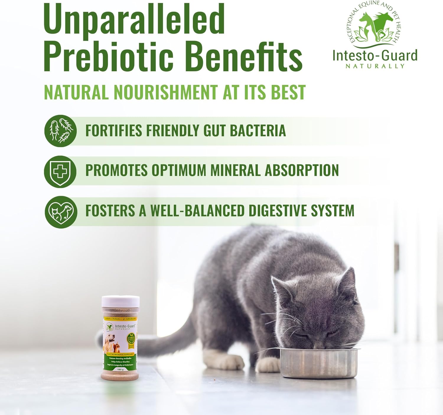 Probiotic Powder for Dogs & Cats: Supports Digestive Health, Immunity, and Gut Flora - 90 Scoops (180G)