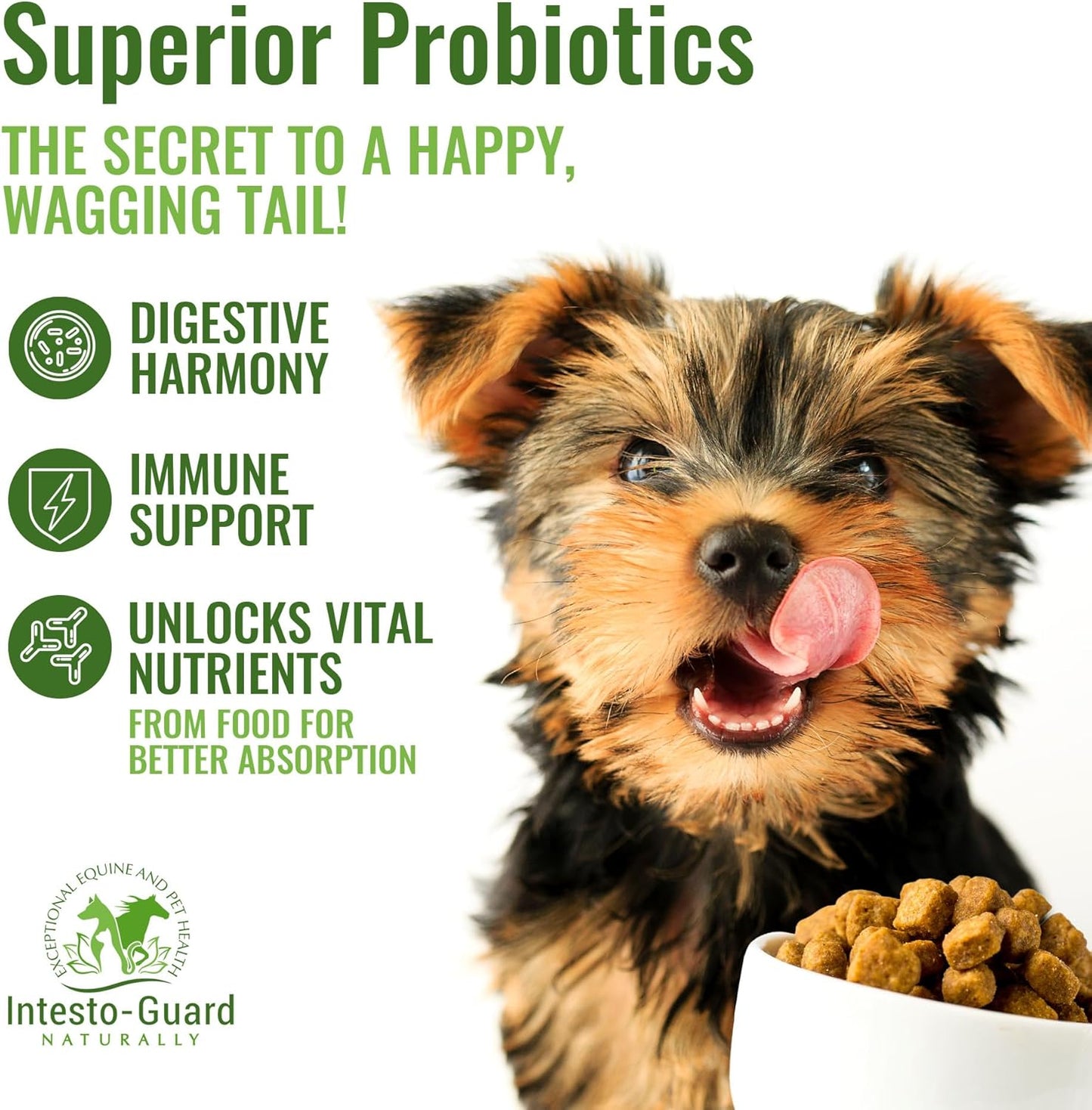 Probiotic Powder for Dogs & Cats: Supports Digestive Health, Immunity, and Gut Flora - 90 Scoops (180G)
