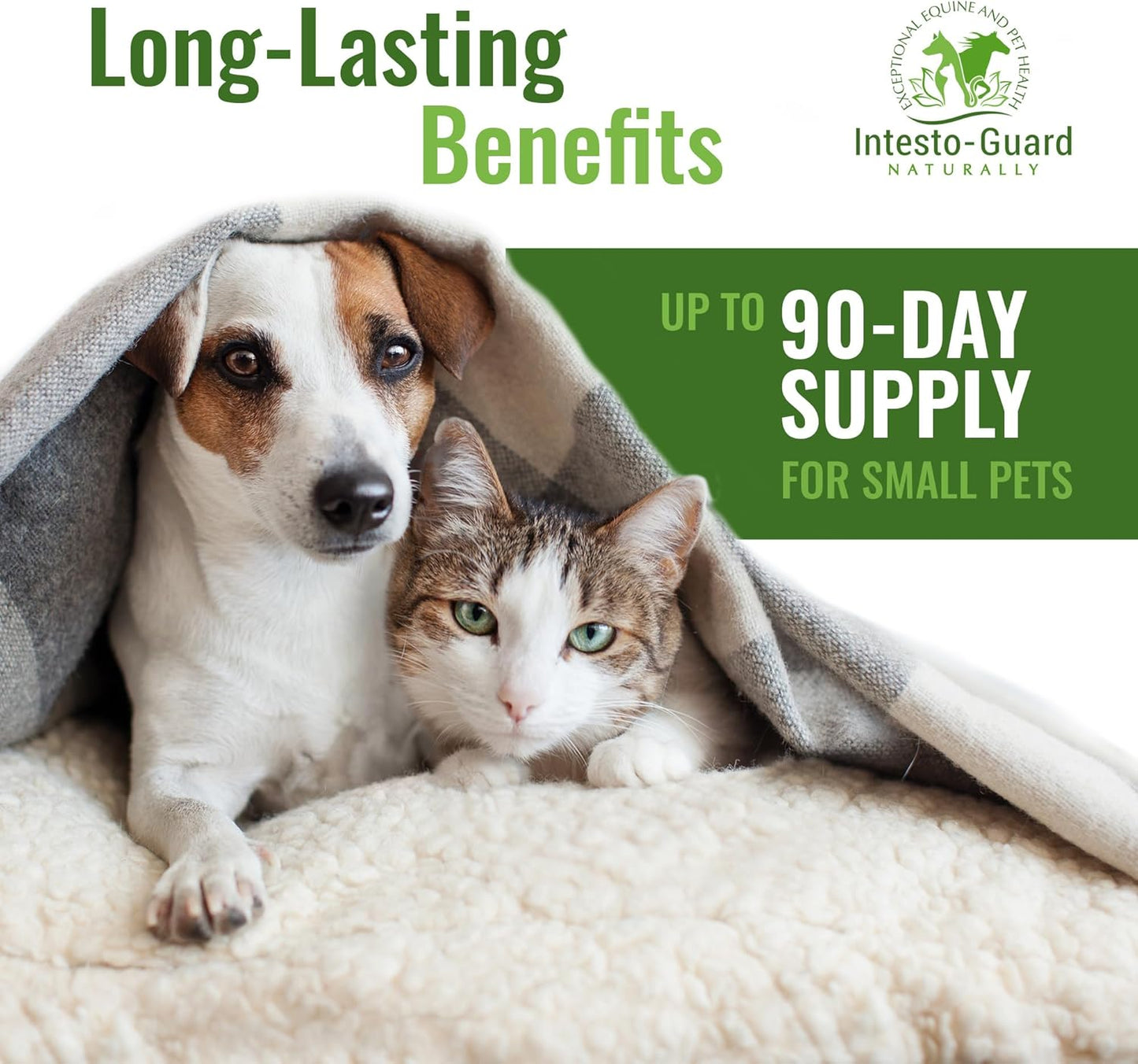 Probiotic Powder for Dogs & Cats: Supports Digestive Health, Immunity, and Gut Flora - 90 Scoops (180G)