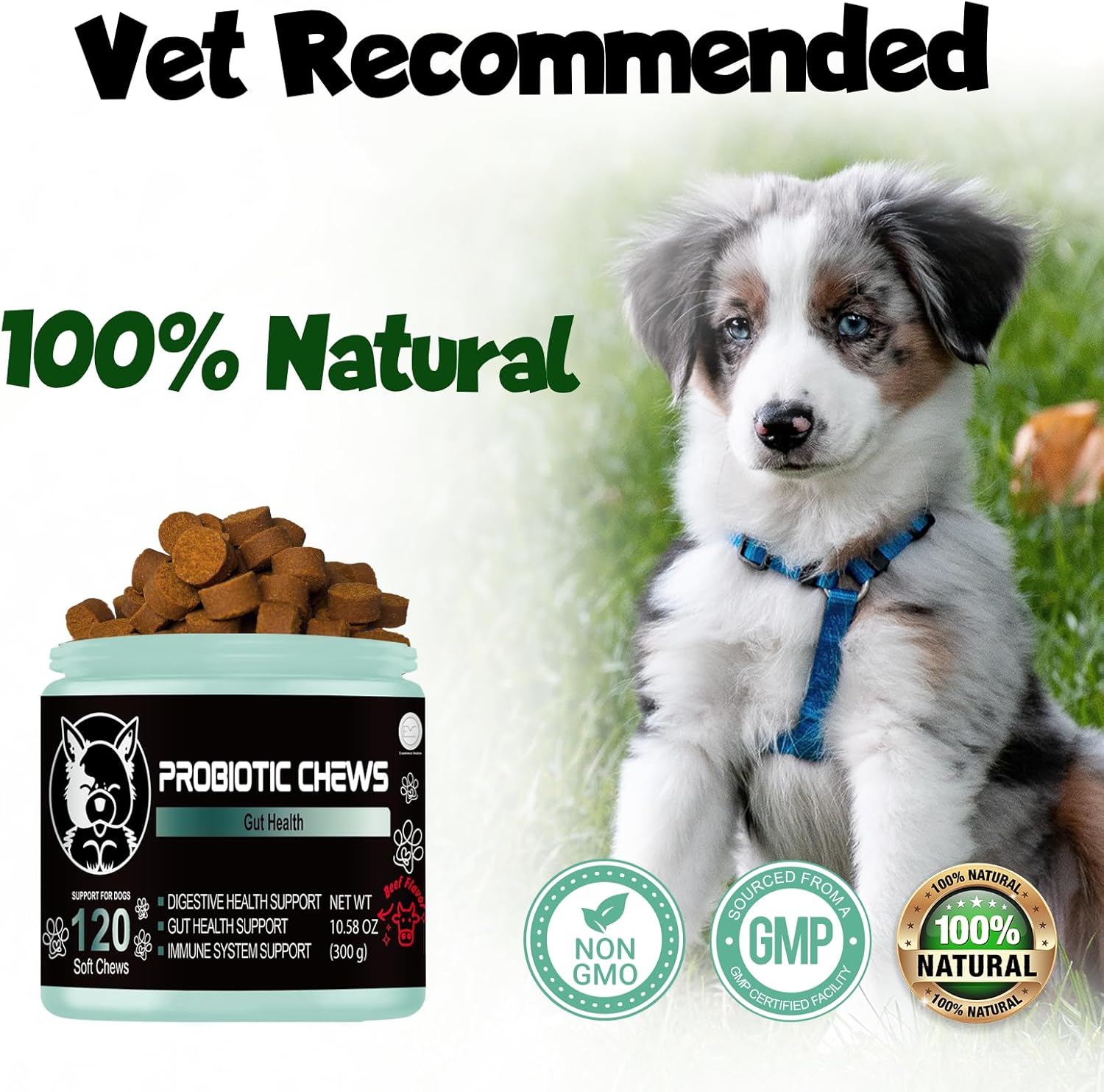 Probiotic Soft Chews for Dogs - Promotes Digestive Health, Allergy Relief, & Immune Function - Supports Gut Health and Reduces Itchy Skin - Suitable for Puppies & Adults