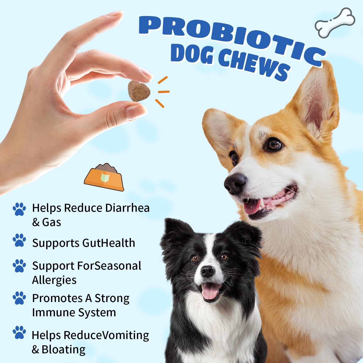 Probiotic Soft Chews for Dogs: Digestive & Immune Support, Prebiotic Supplement, Beef Flavor - 100 Chews