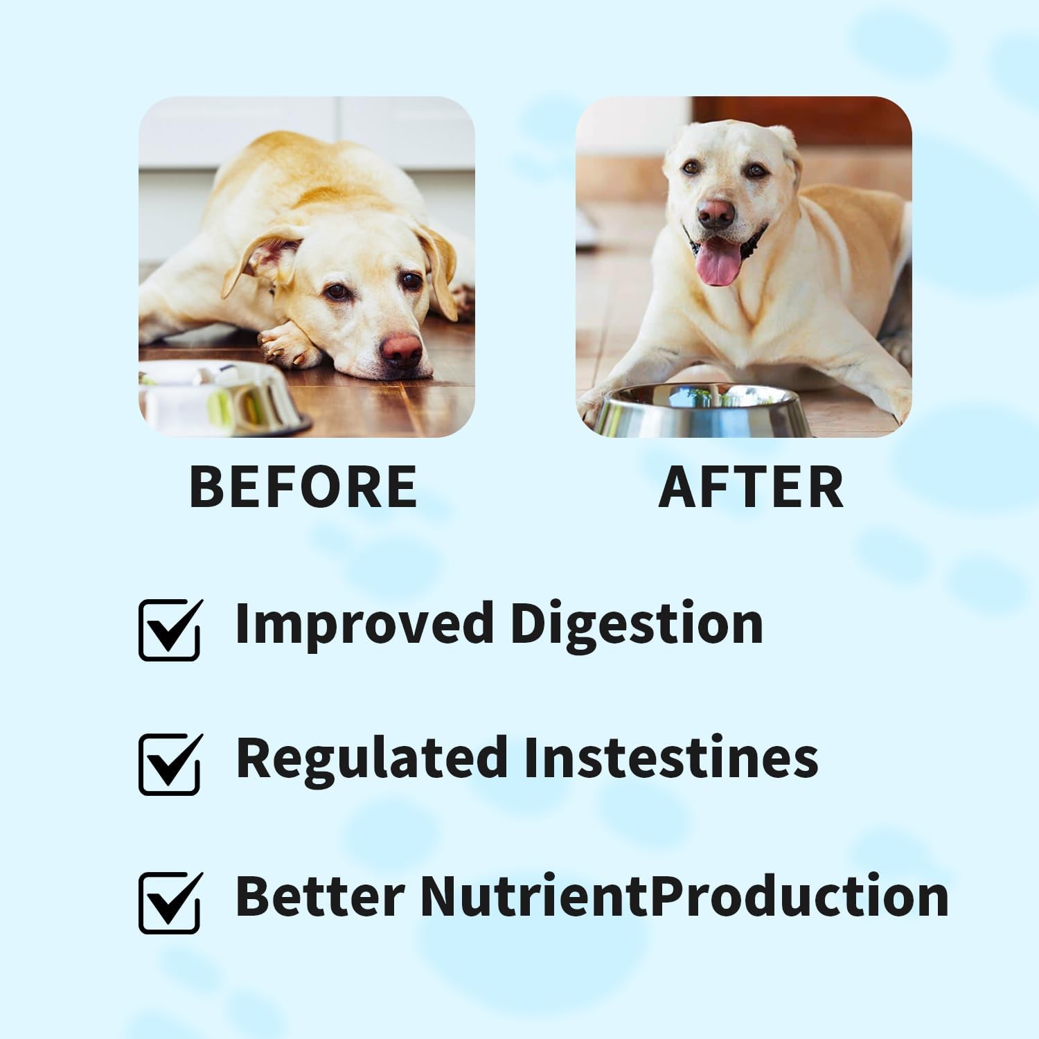 Probiotic Soft Chews for Dogs: Digestive & Immune Support, Prebiotic Supplement, Beef Flavor - 100 Chews