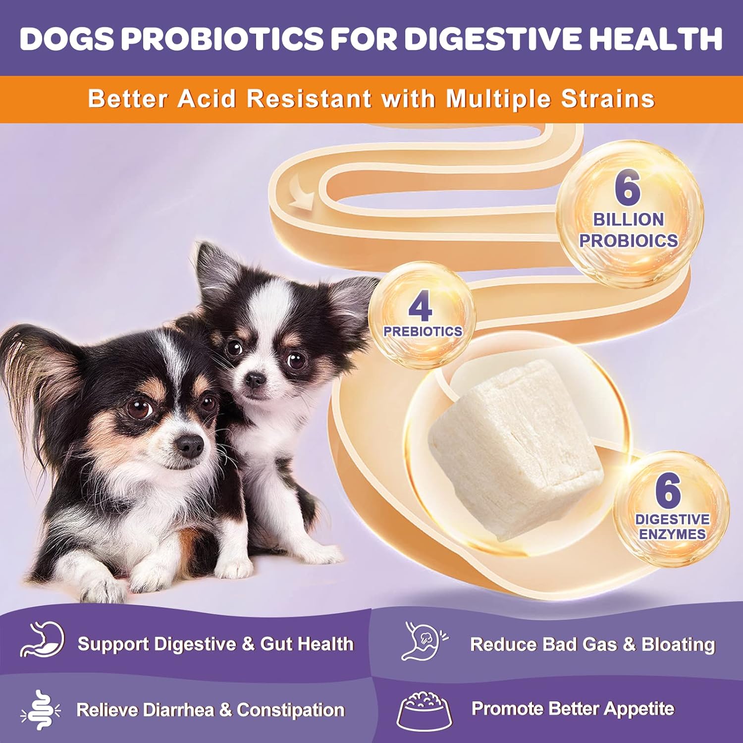Probiotics and Omega 3 Fish Oil for Dogs - Nourishing Supplements for Canine Health