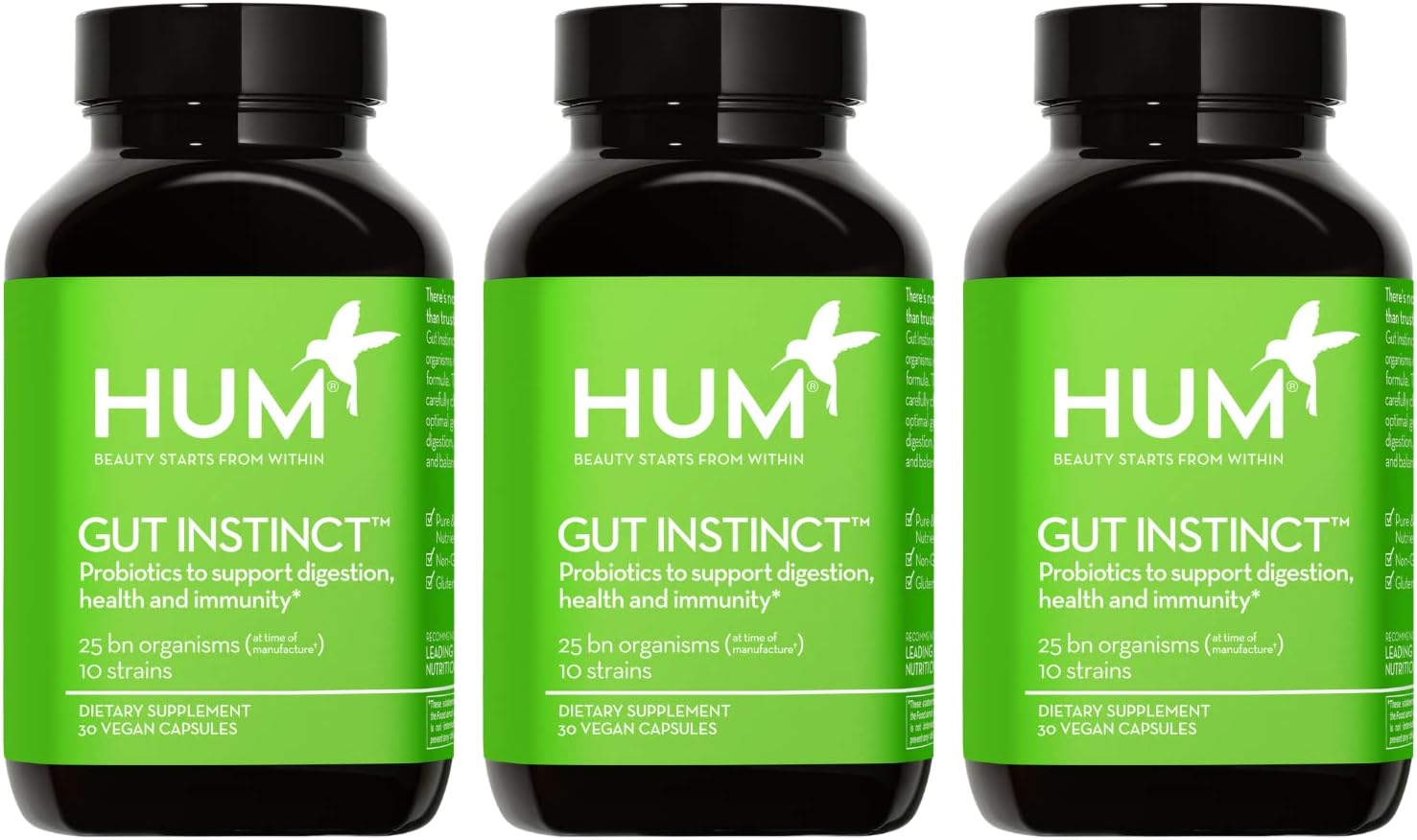 Probiotics for Digestive Health - Daily Gut Support for Men and Women with Lactobacillus and Bifidobacterium Strains - 90 Count