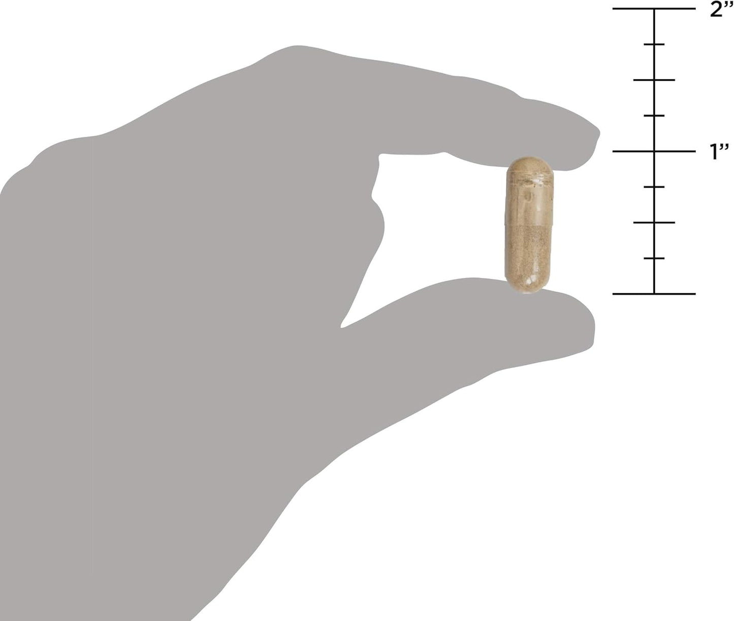 Probiotics with Turmeric, Ginger, and Fenugreek for Digestive Health - 50 Billion CFUs, 30 Capsules