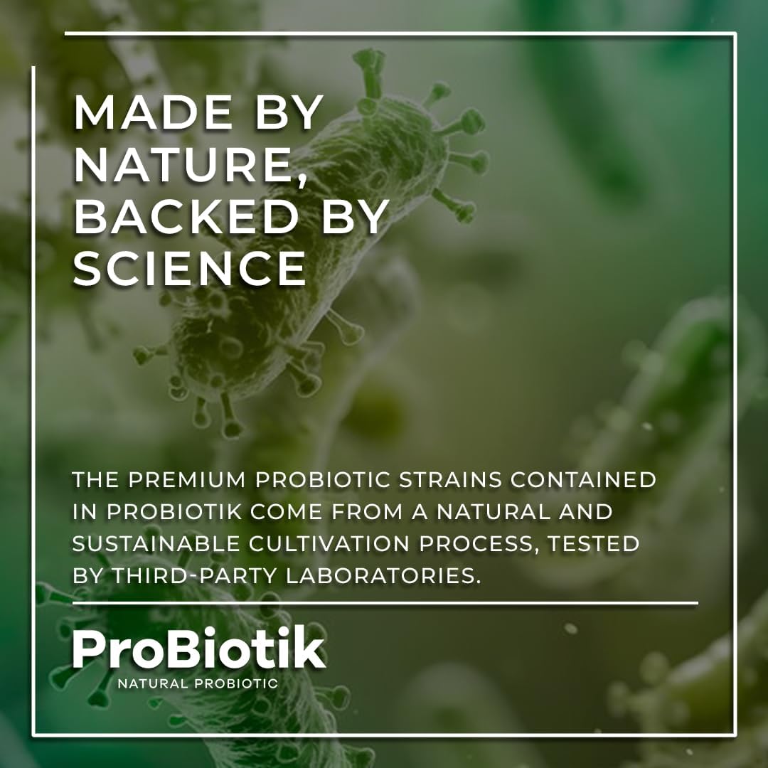 Probiotik Digestive Support with Multi Enzyme Probiotic for Gut Health - 60ct