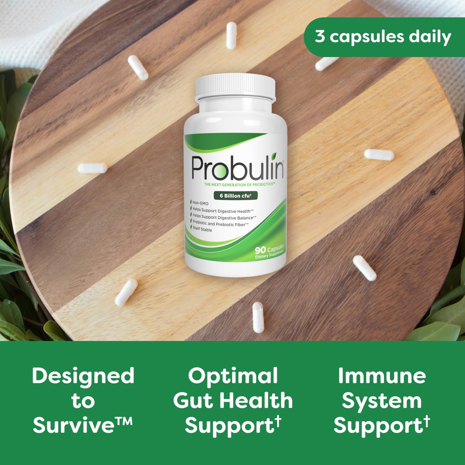 Probulin Original Formula Probiotic: 6 Billion CFU Digestive Support in 90 Capsules