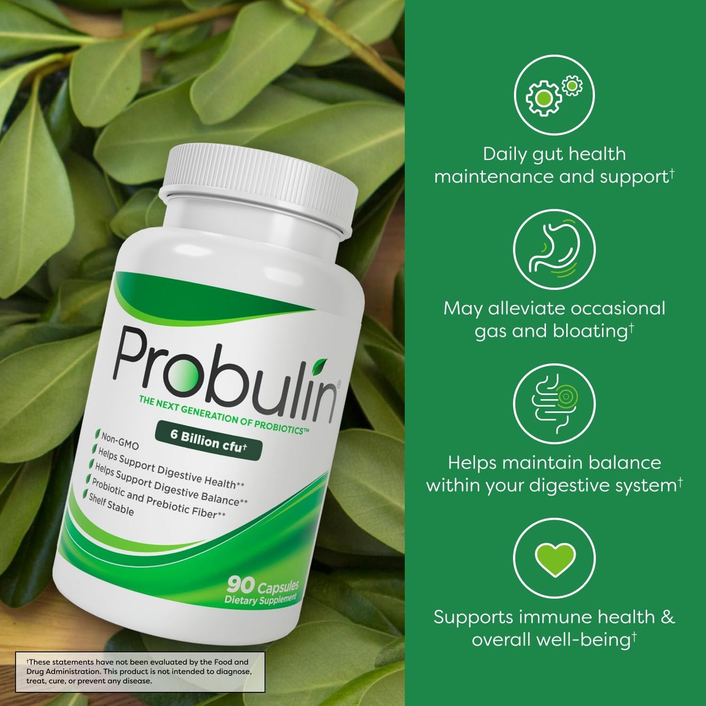 Probulin Original Formula Probiotic: 6 Billion CFU Digestive Support in 90 Capsules