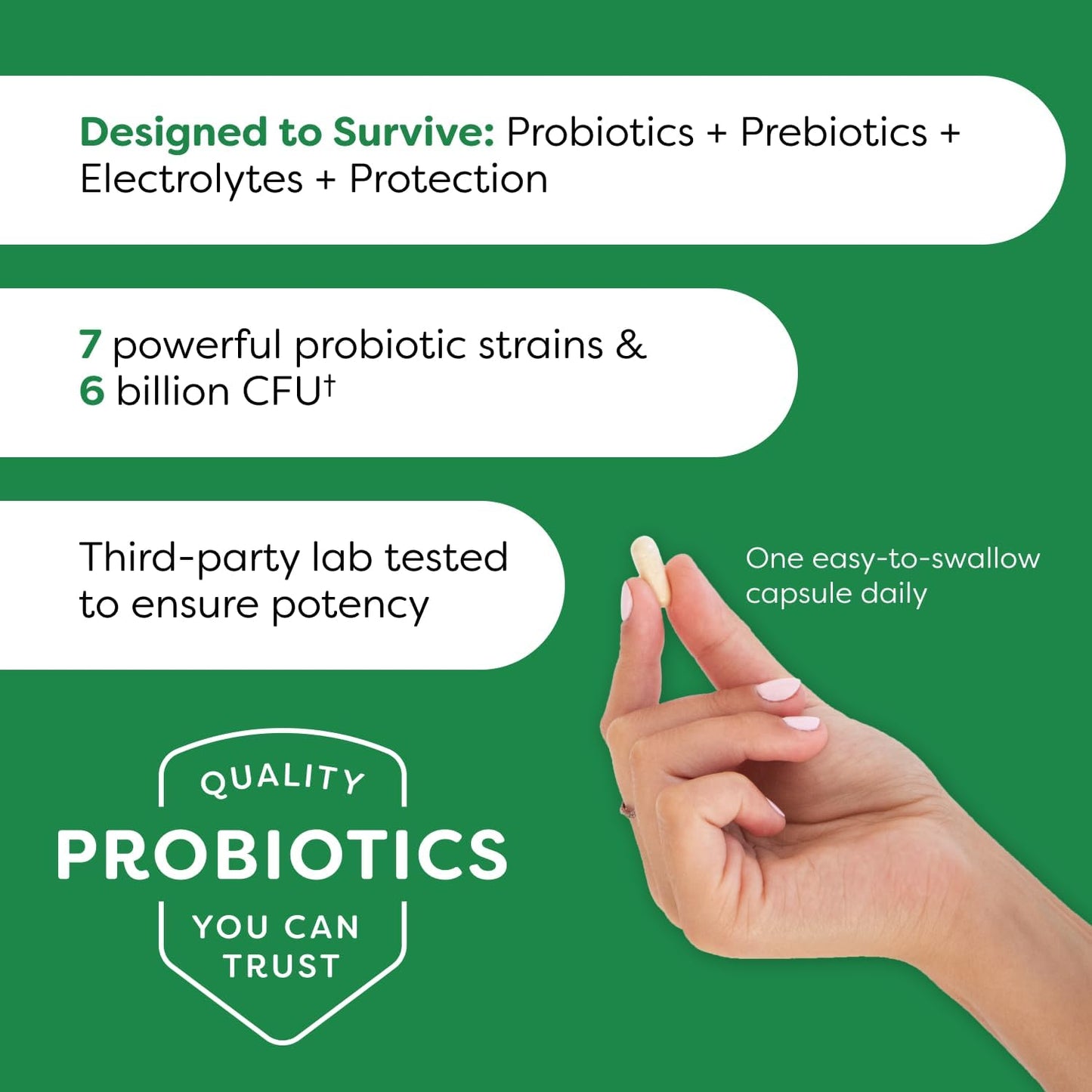 Probulin Original Formula Probiotic: 6 Billion CFU Digestive Support in 90 Capsules