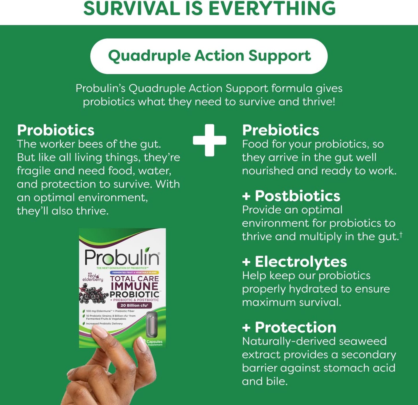 Probulin Total Care Immune Supplement with Elderberry - 20 Billion CFU, 10 Strains - Prebiotics, Probiotics, Postbiotics for Gut Health - 90 Vegan Capsules